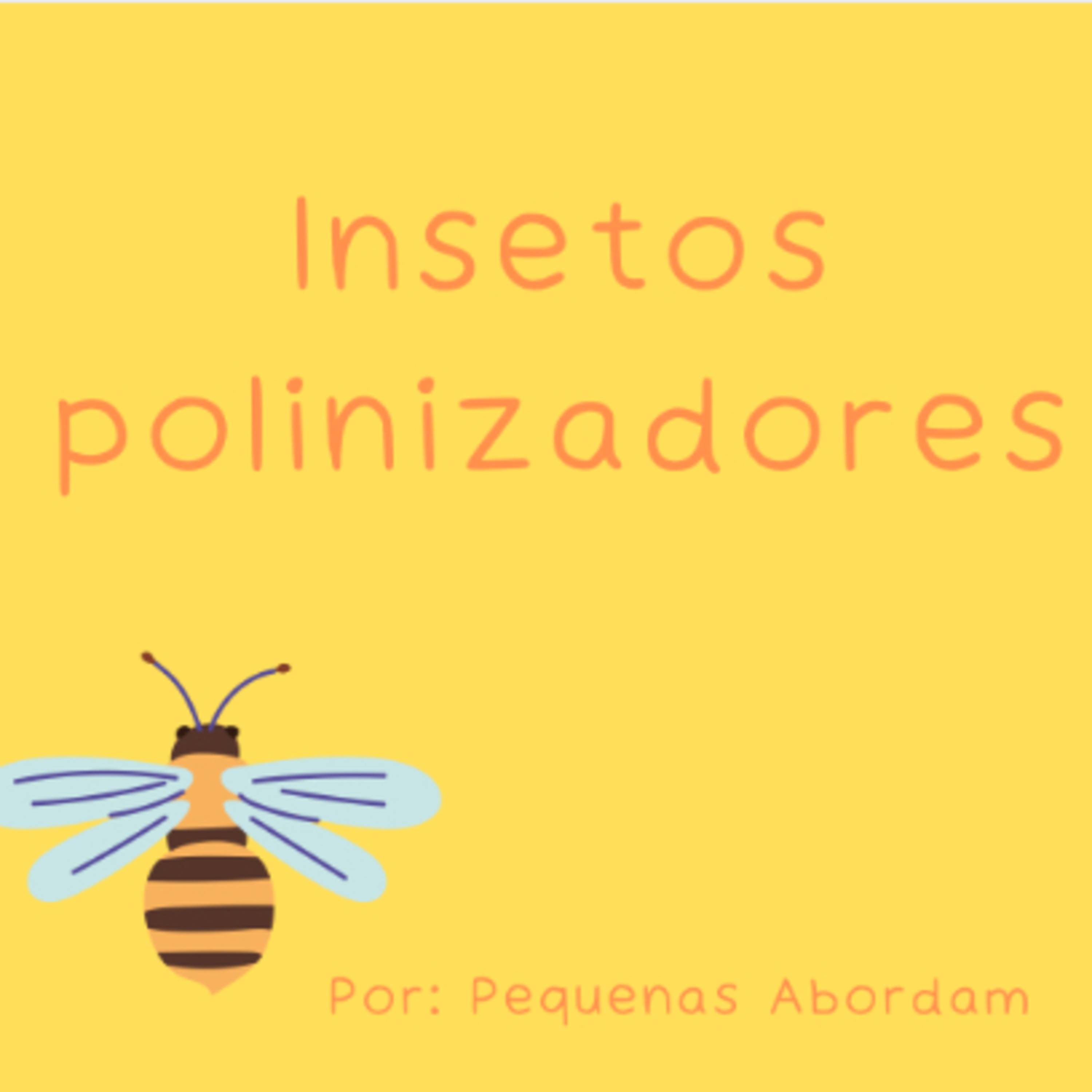 Pequenas abordam