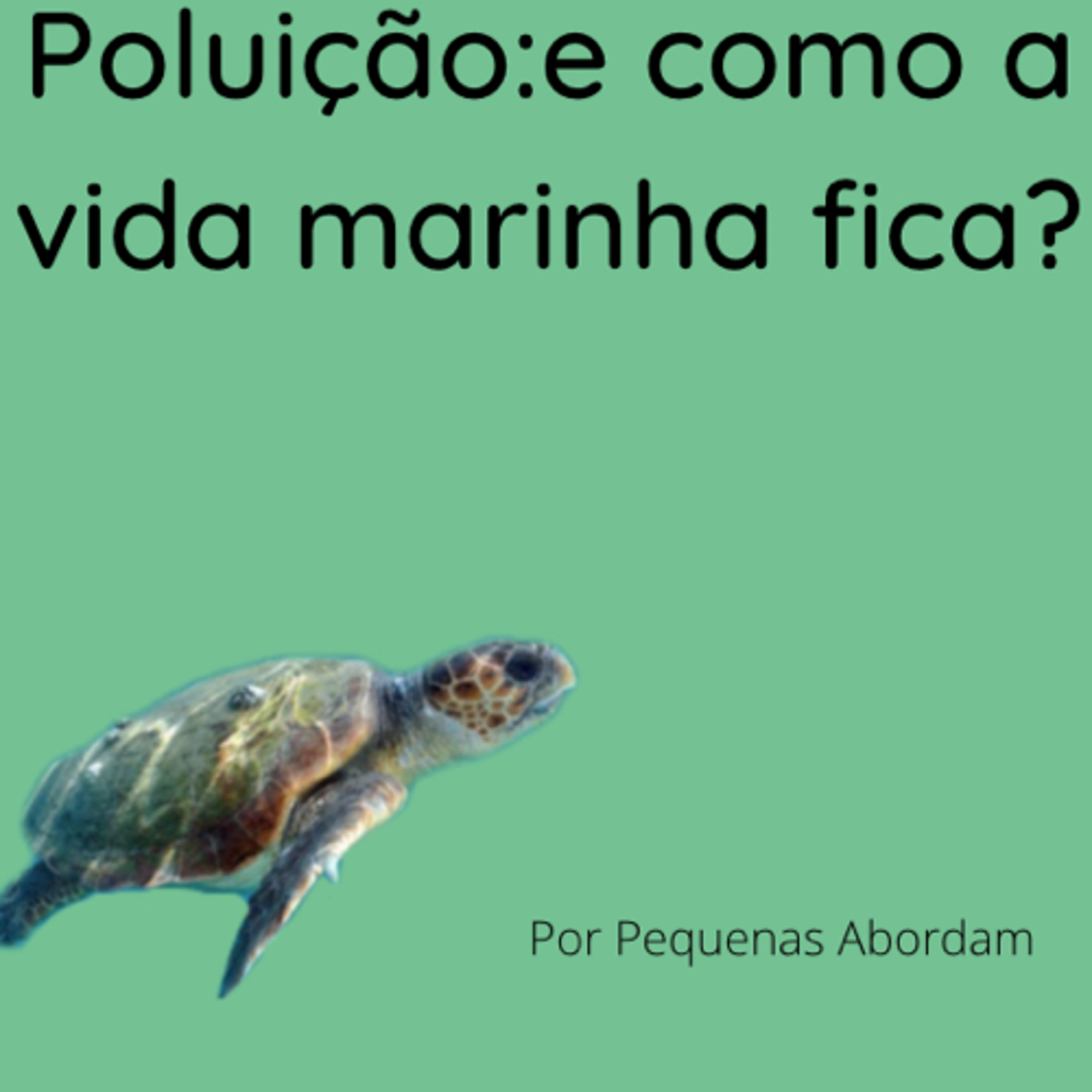 Pequenas abordam