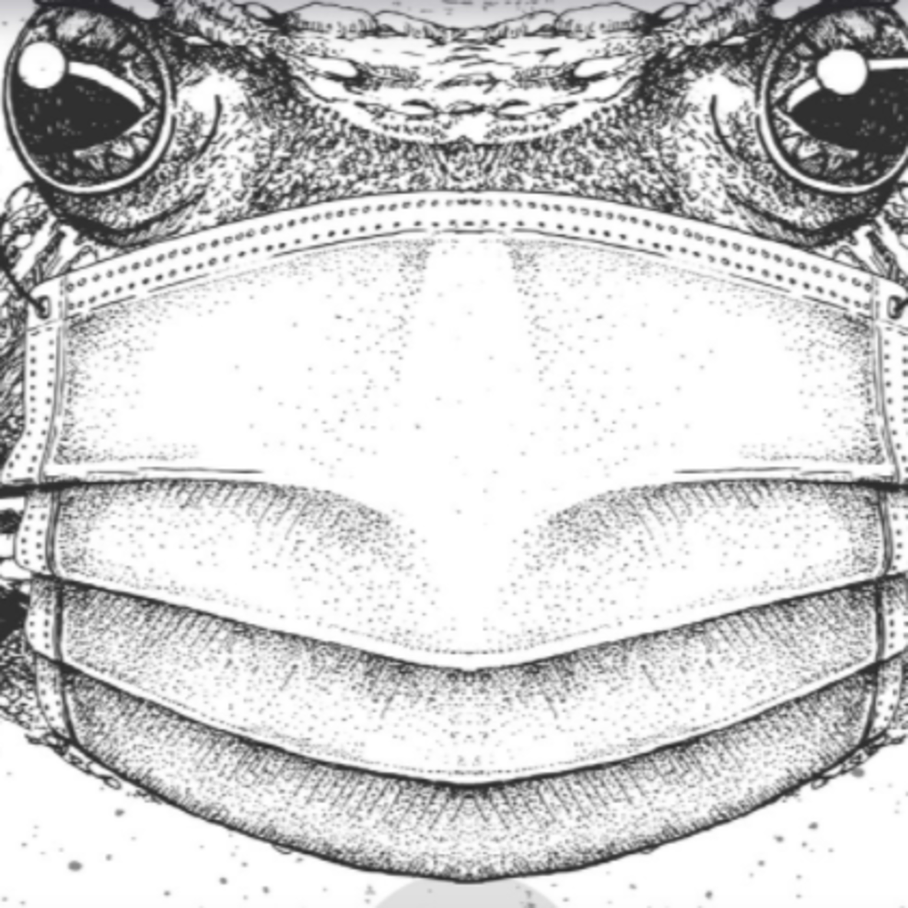 Still Sippin/Corona Frog episode artwork