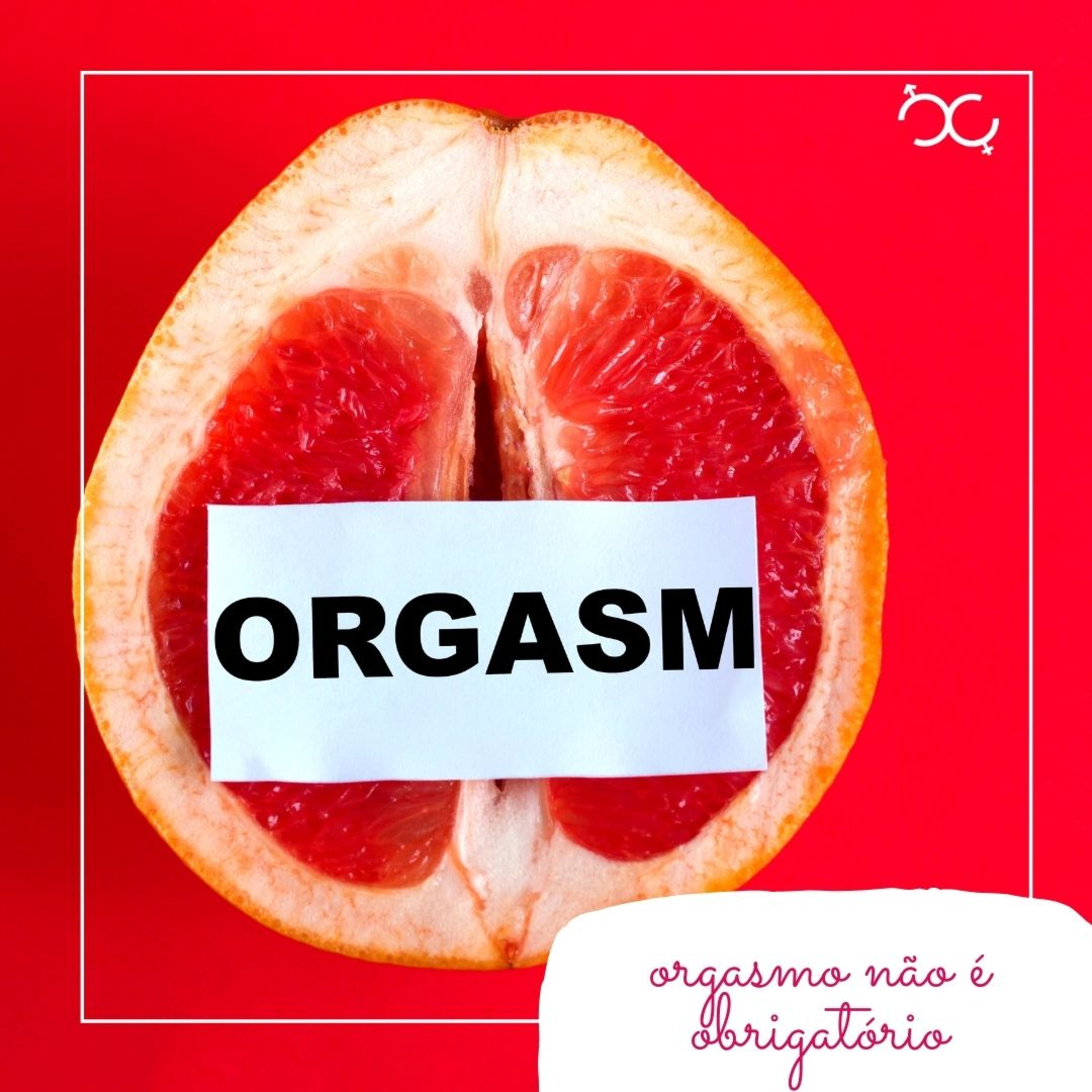 Orgasmo não é obrigatório episode artwork