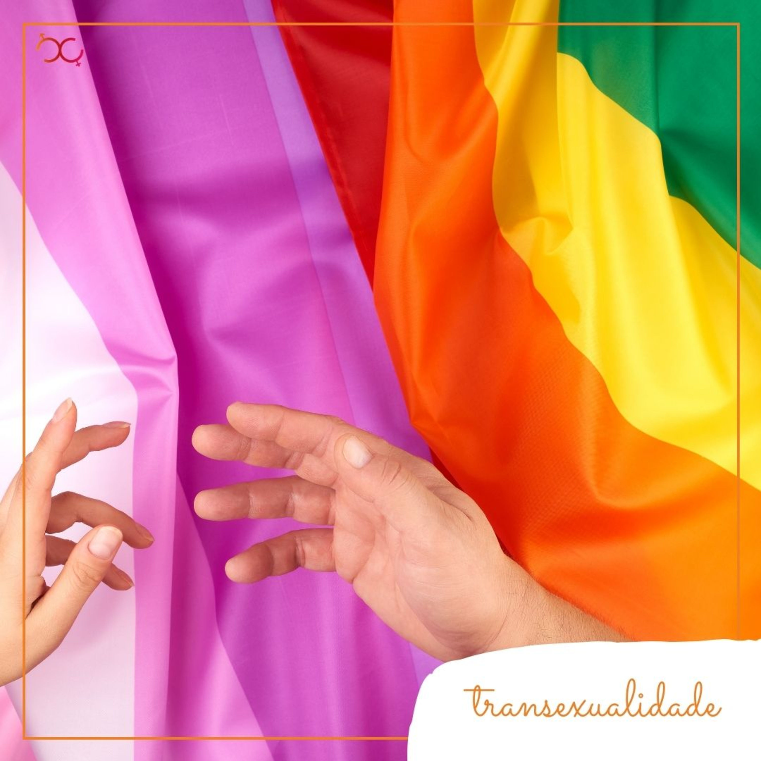 Transexualidade