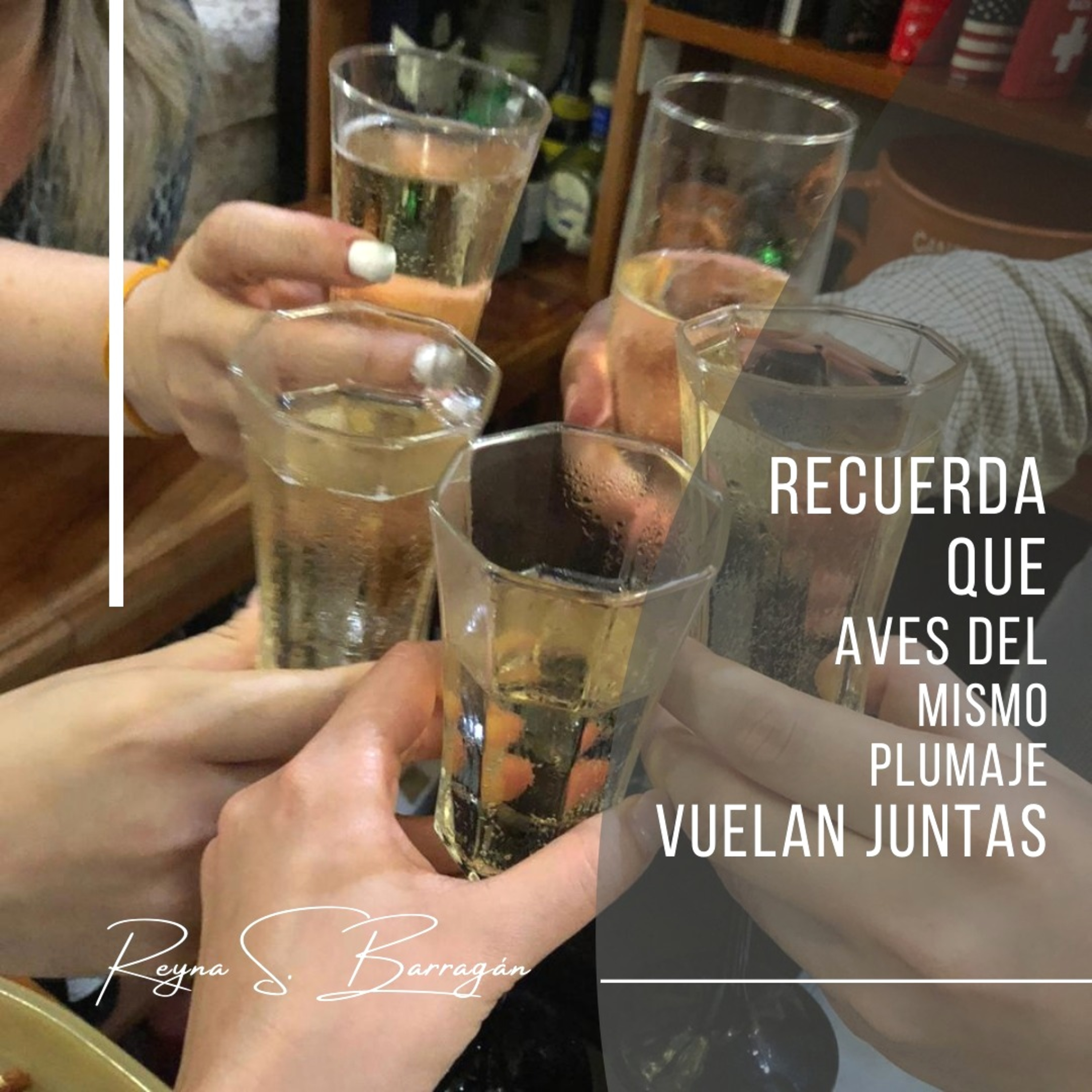 OBSERVATE AMATE SIENTE