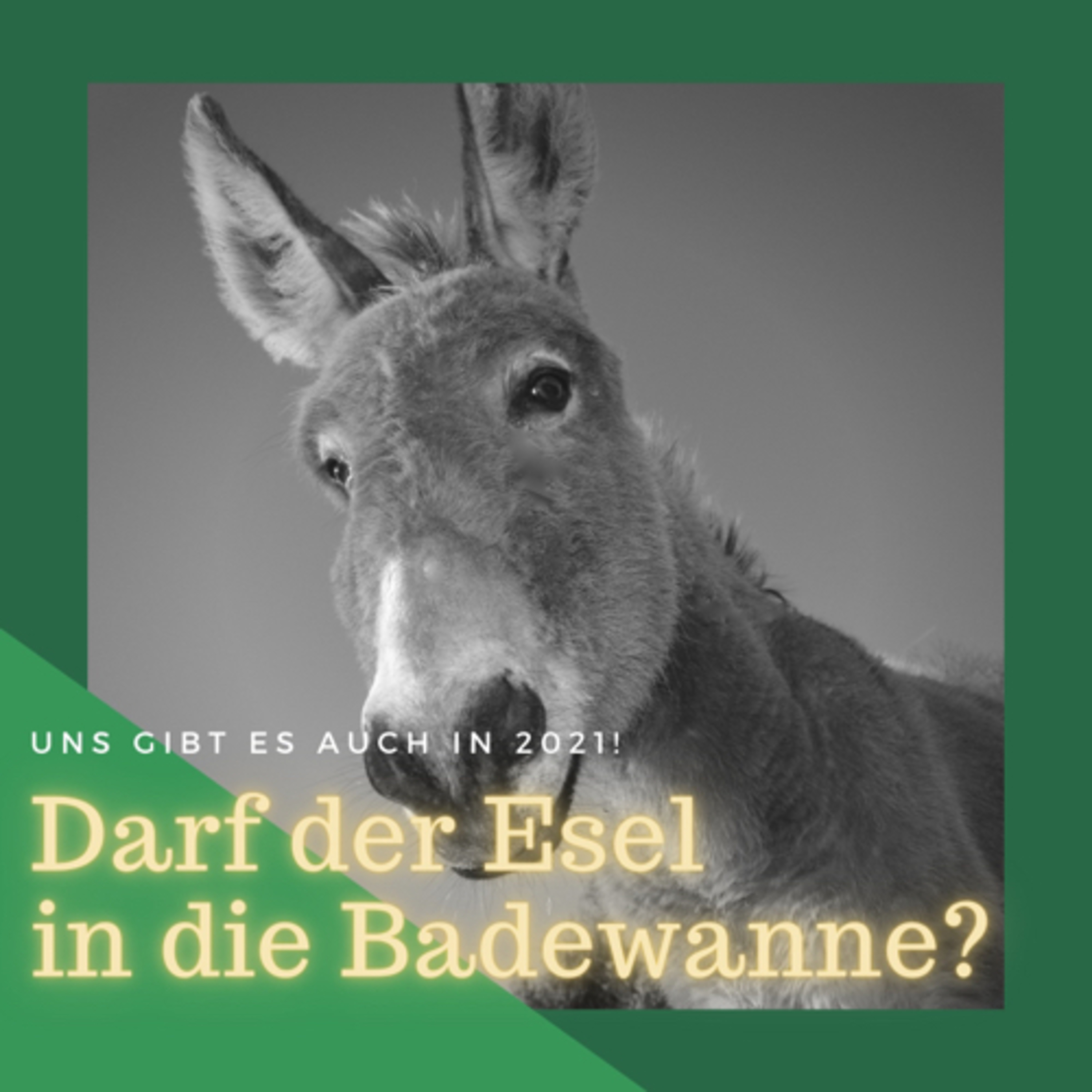 Darf der Esel in die Badewanne? episode artwork