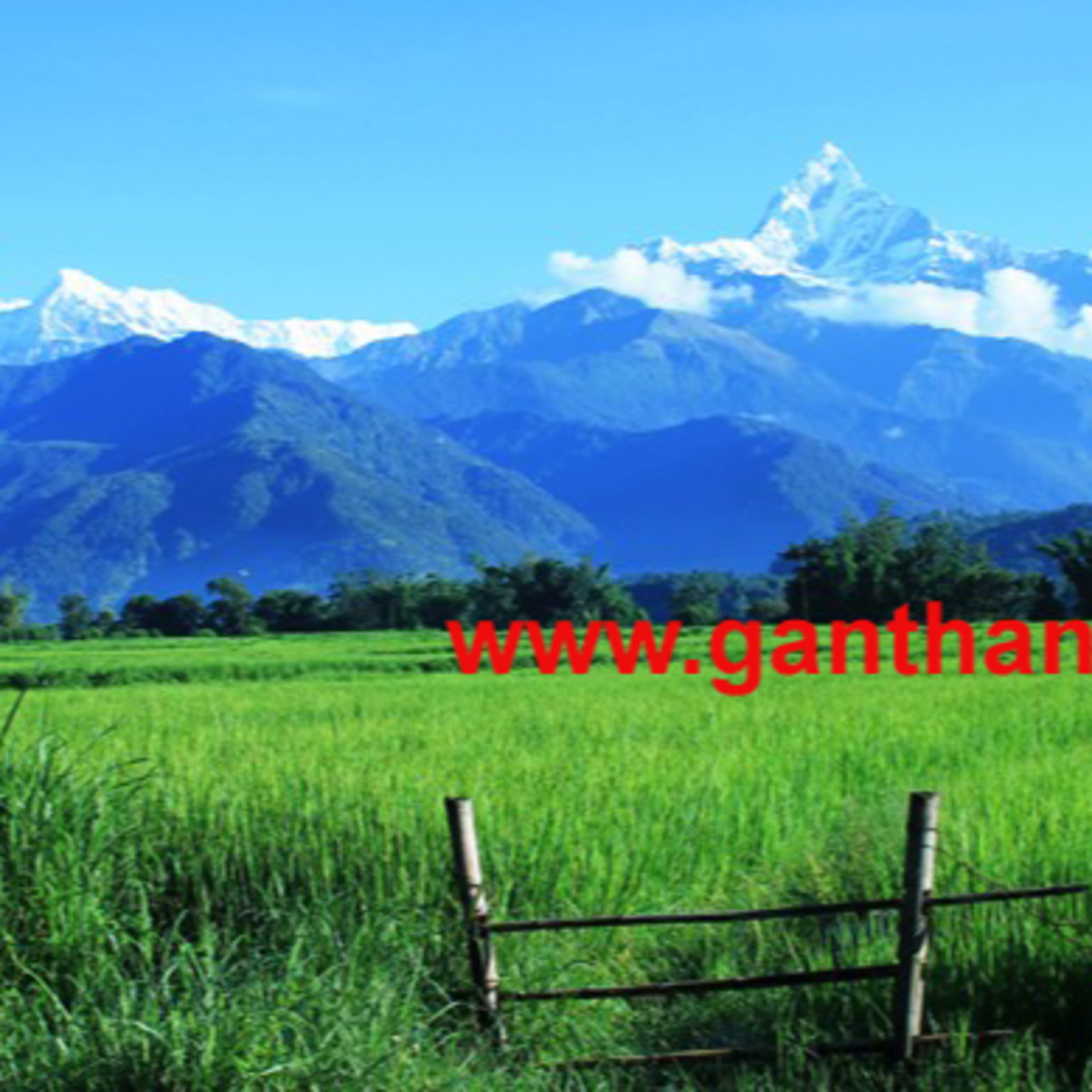 (पोखरा समाचार) Pokhara News: October 3, 2019