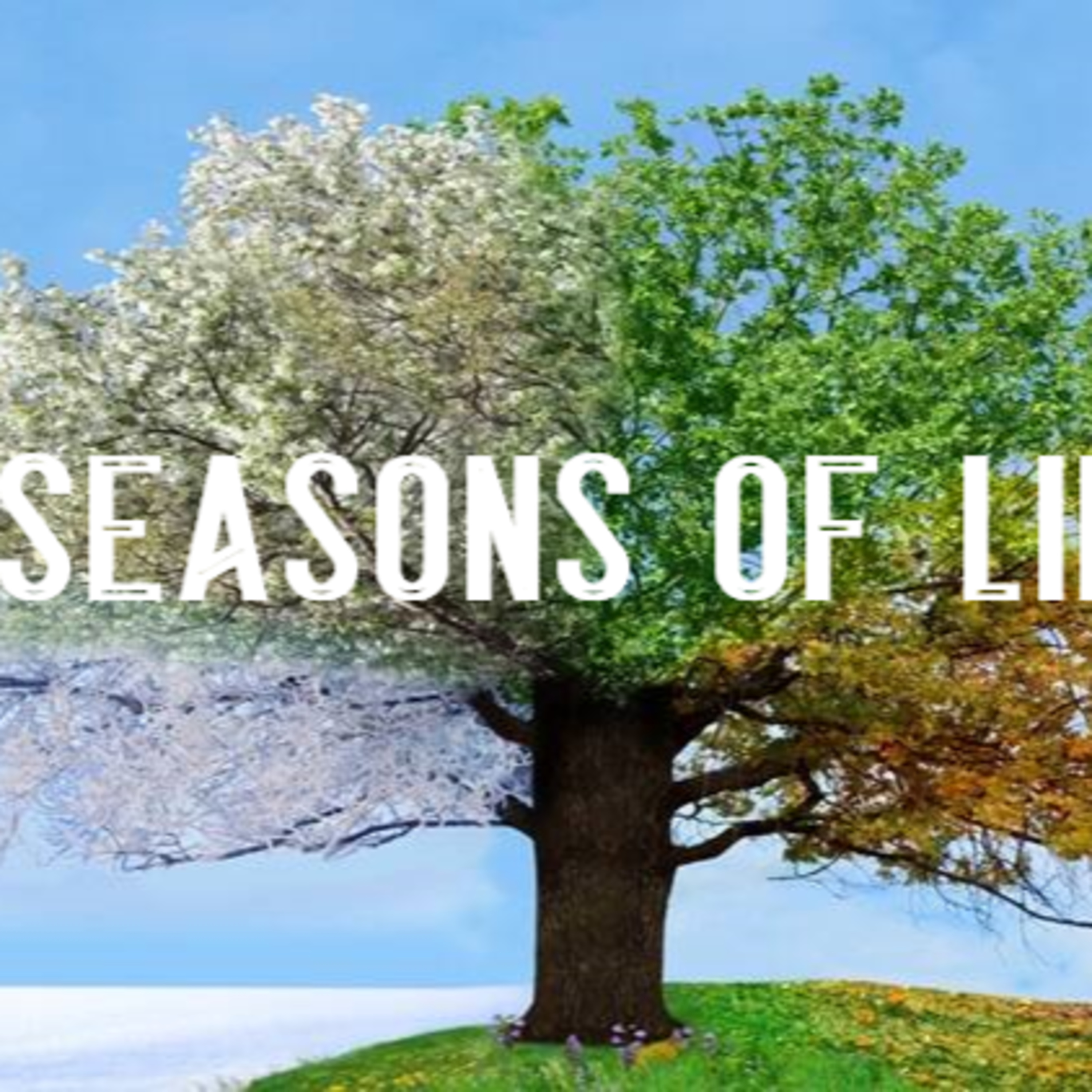 Seasons of Life – Living in the Season episode artwork