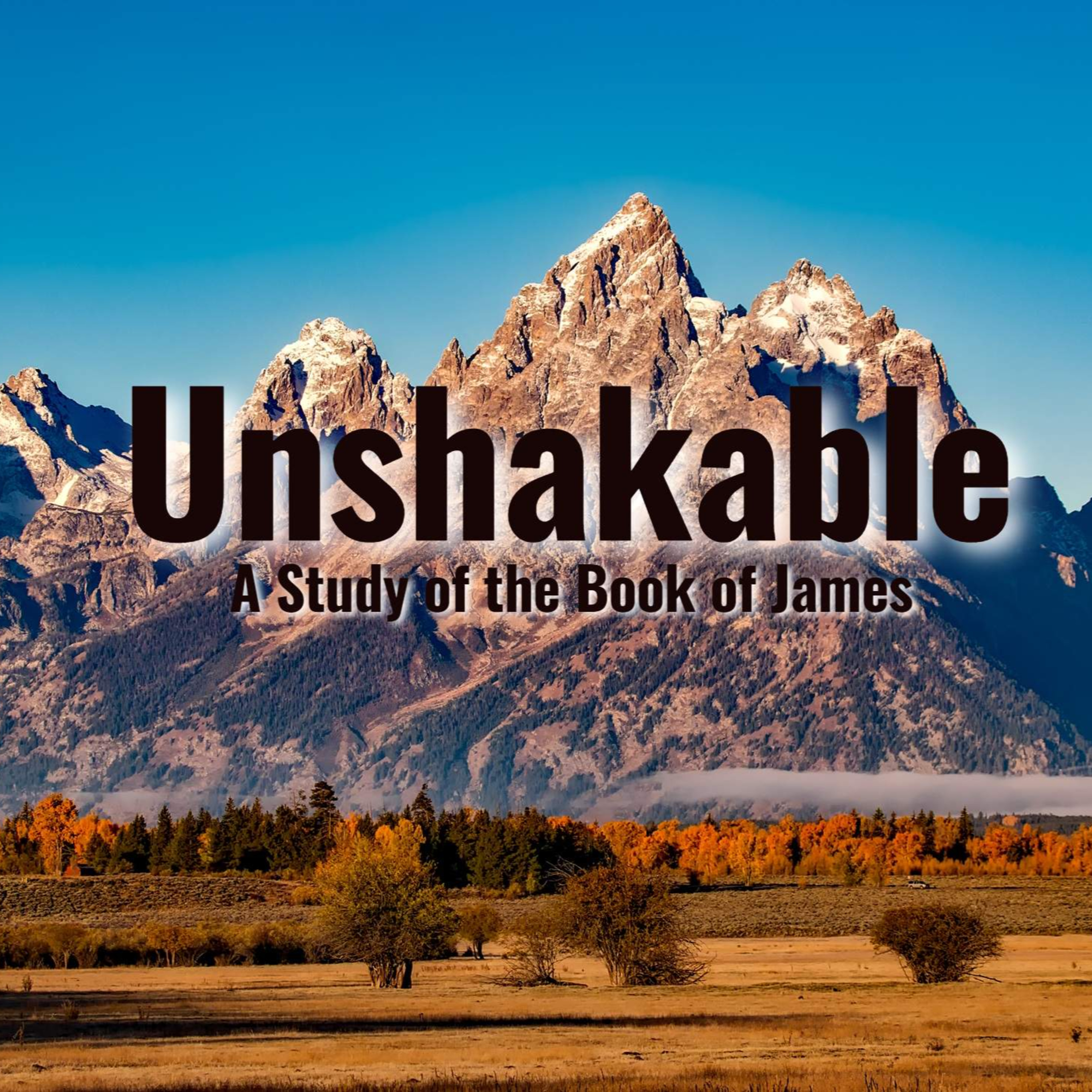 Unshakable: The Right Response  James 1:19-27  episode artwork