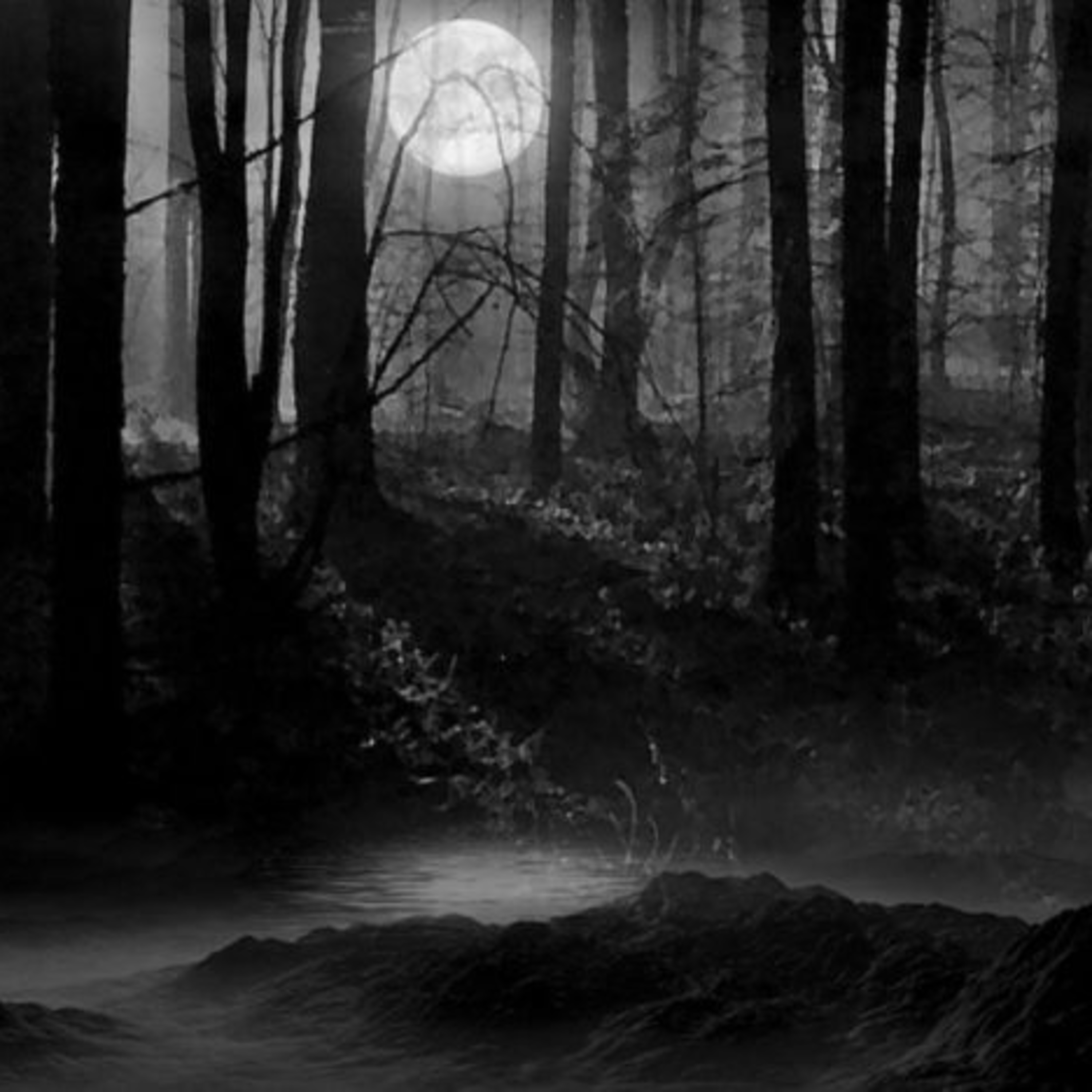 ZAP #00003 - Het Woud Van Toezicht