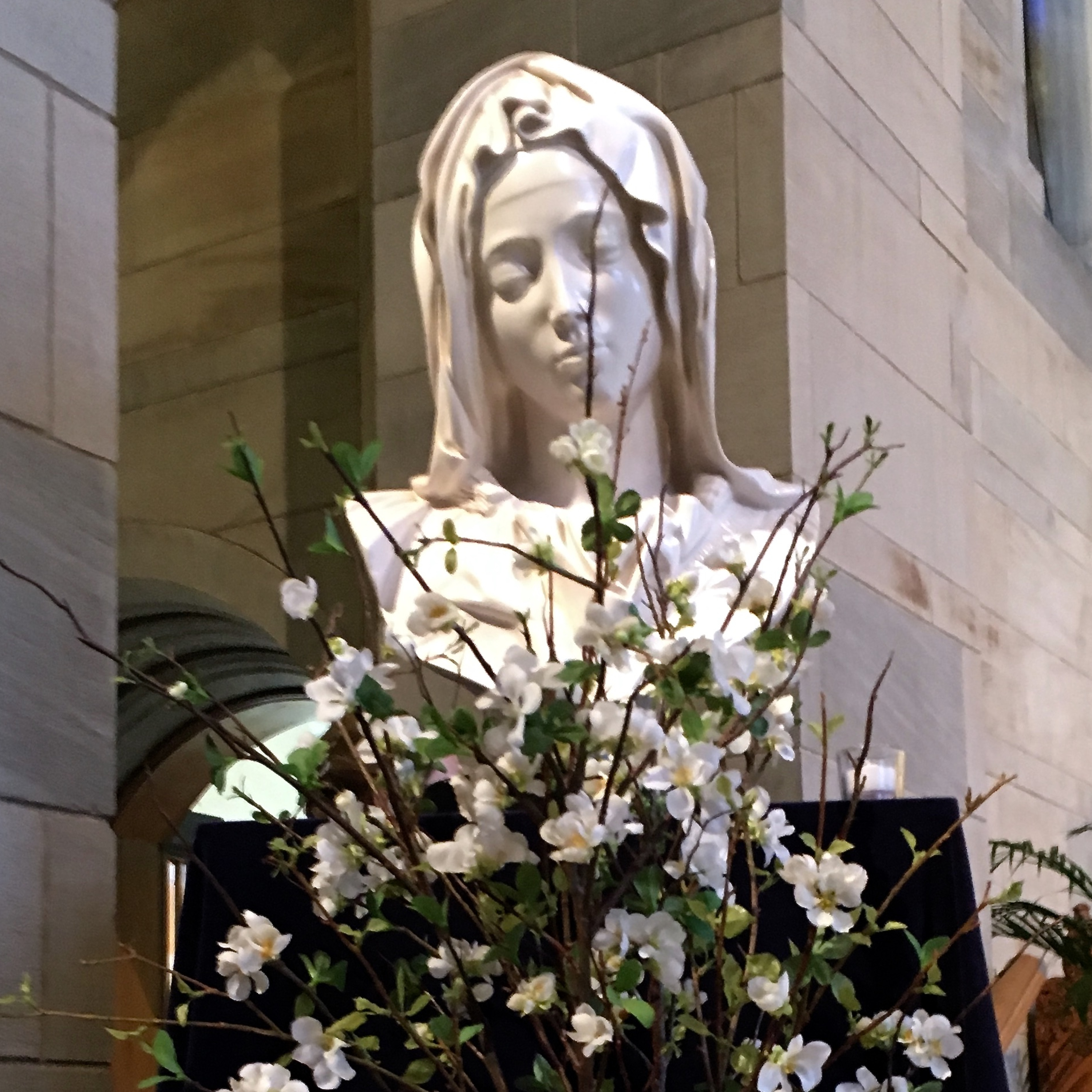 Homily 10/14/18 episode artwork