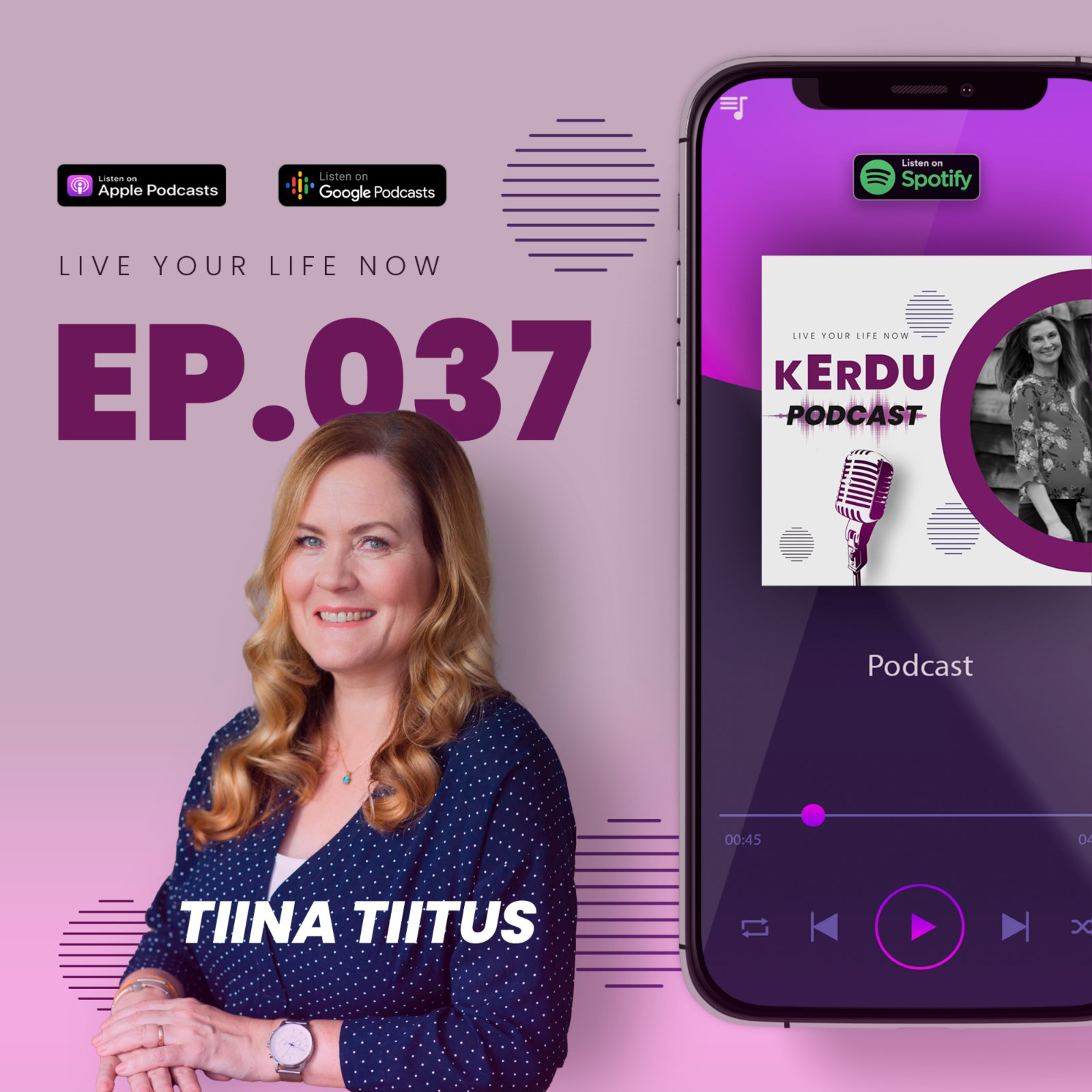 Mindset Fitness podcast