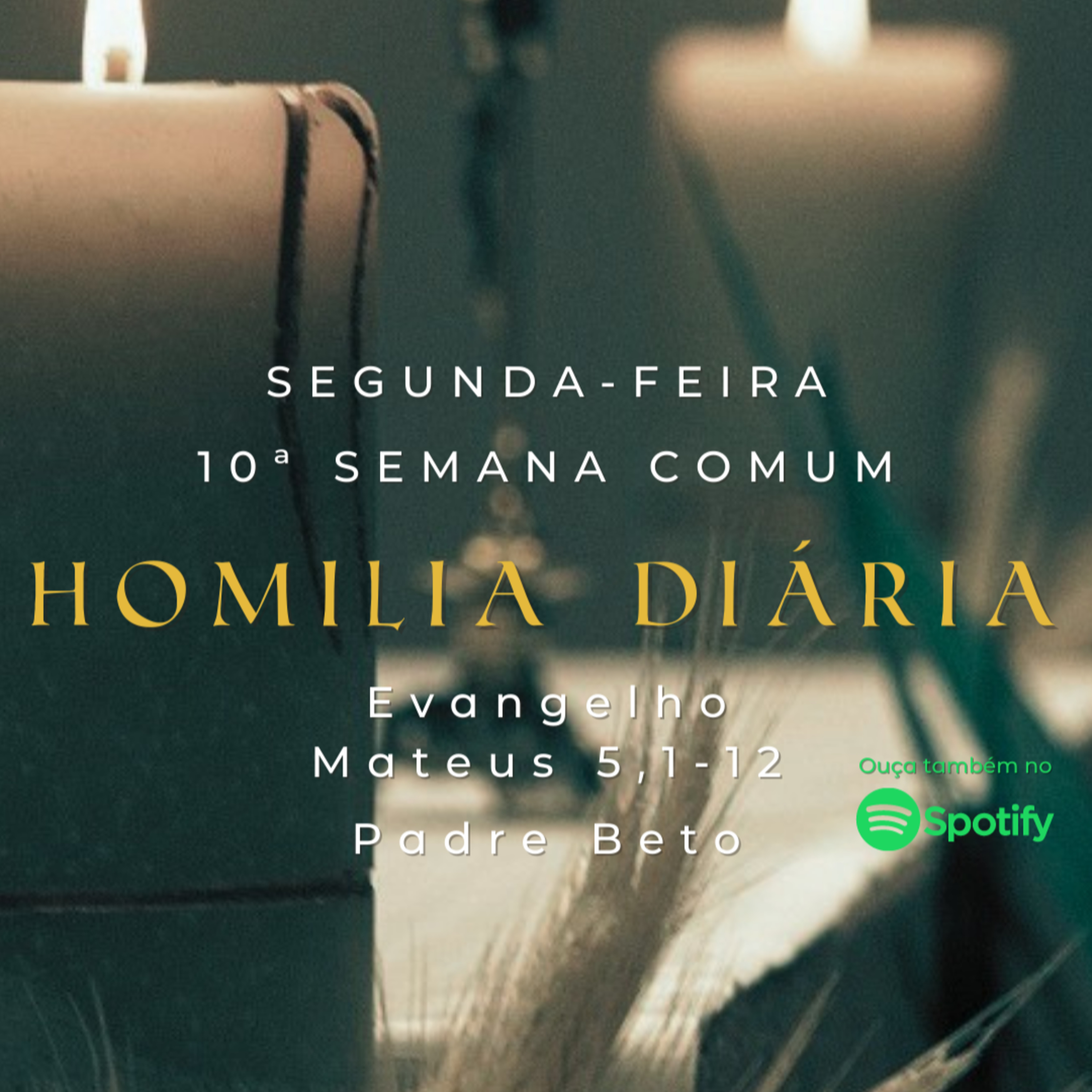 Padre Beto Badiani