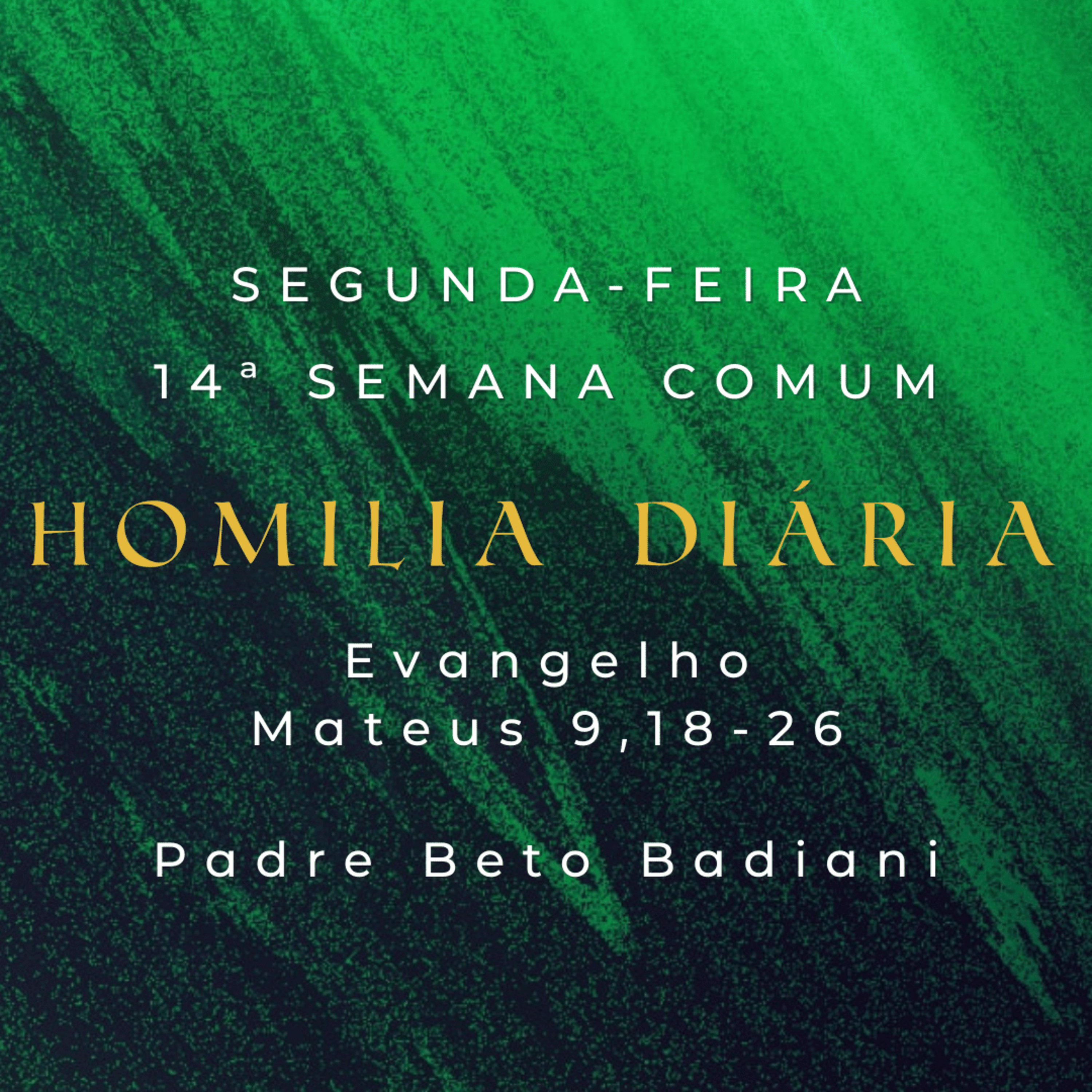 Padre Beto Badiani