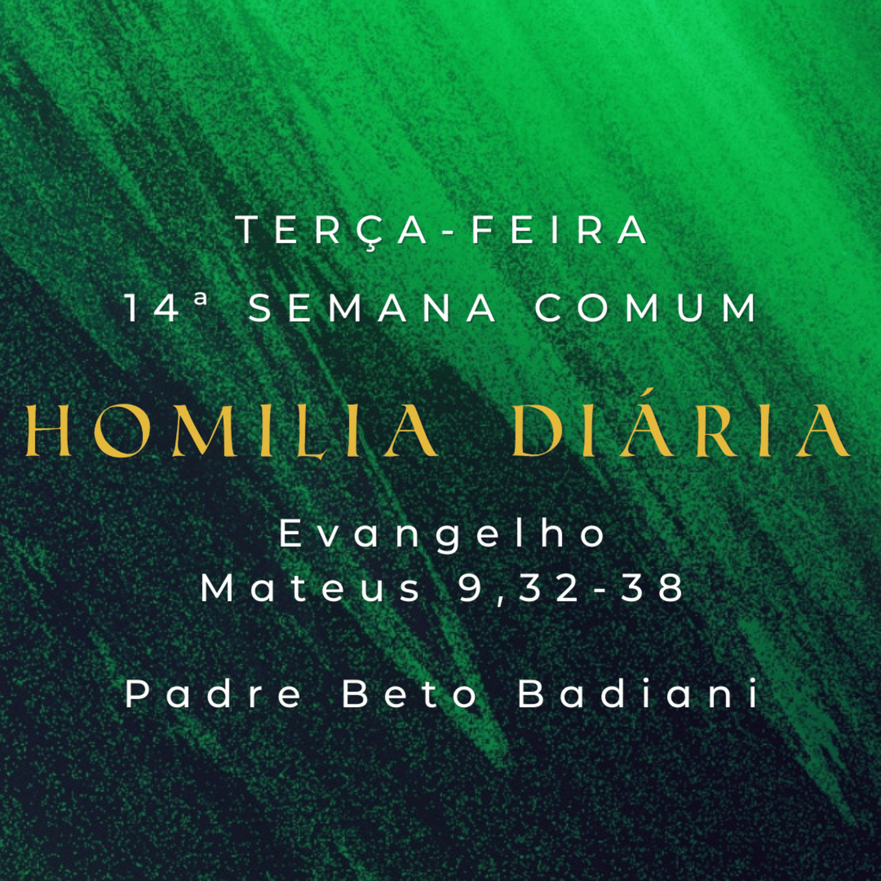 Padre Beto Badiani