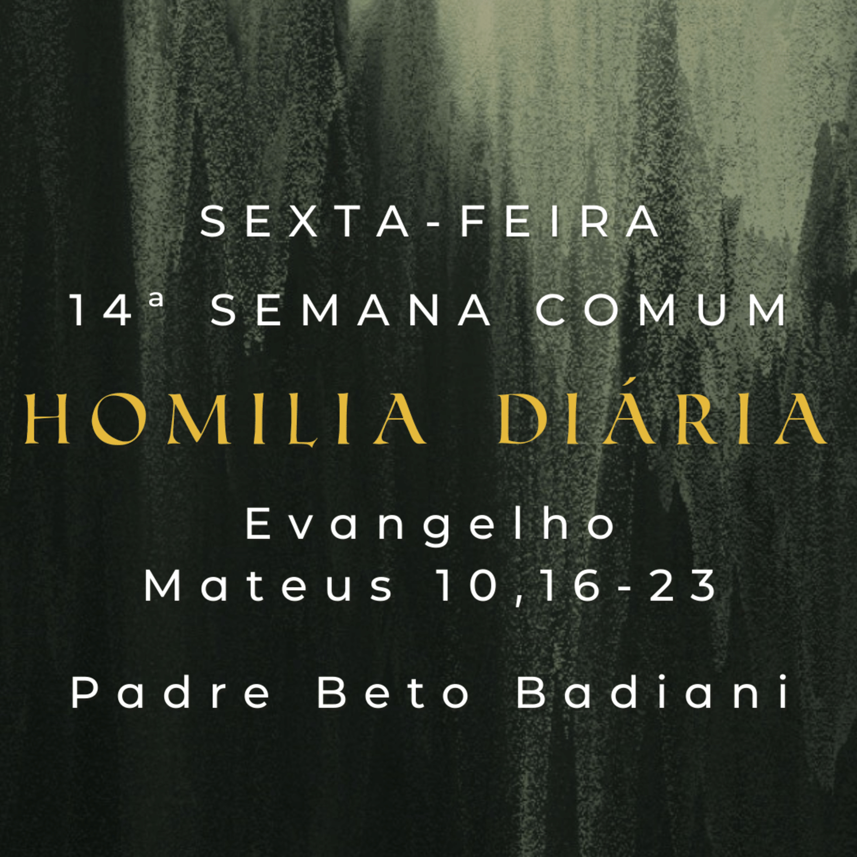 Padre Beto Badiani