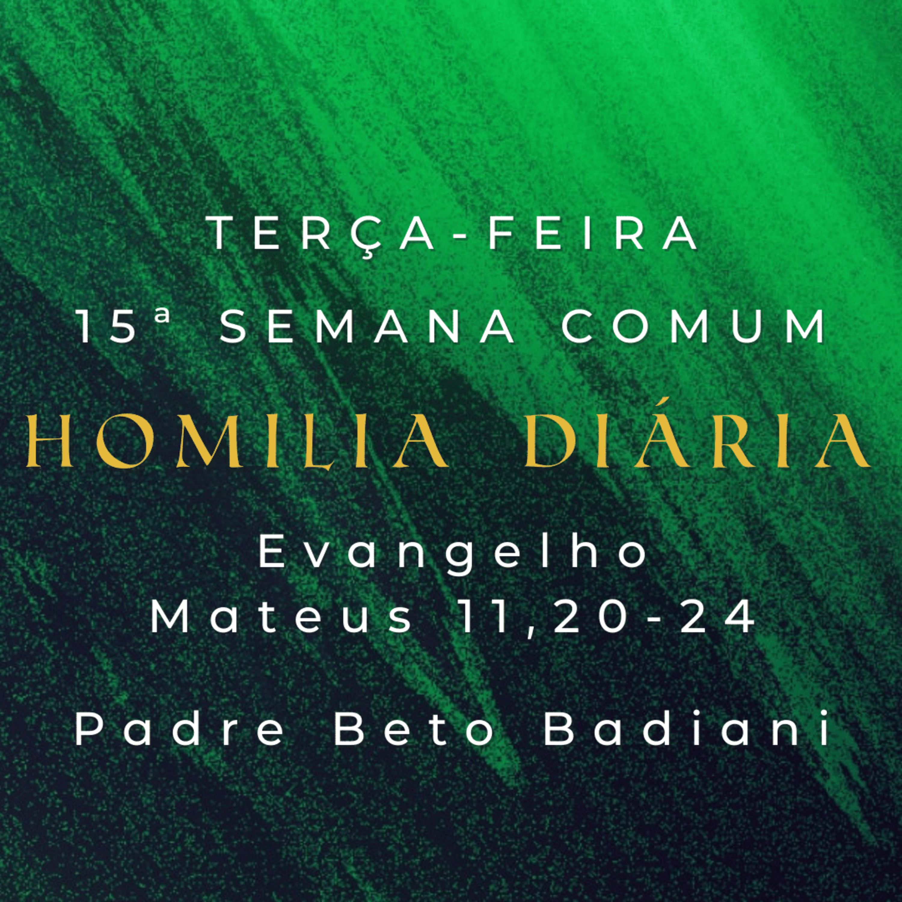 Padre Beto Badiani