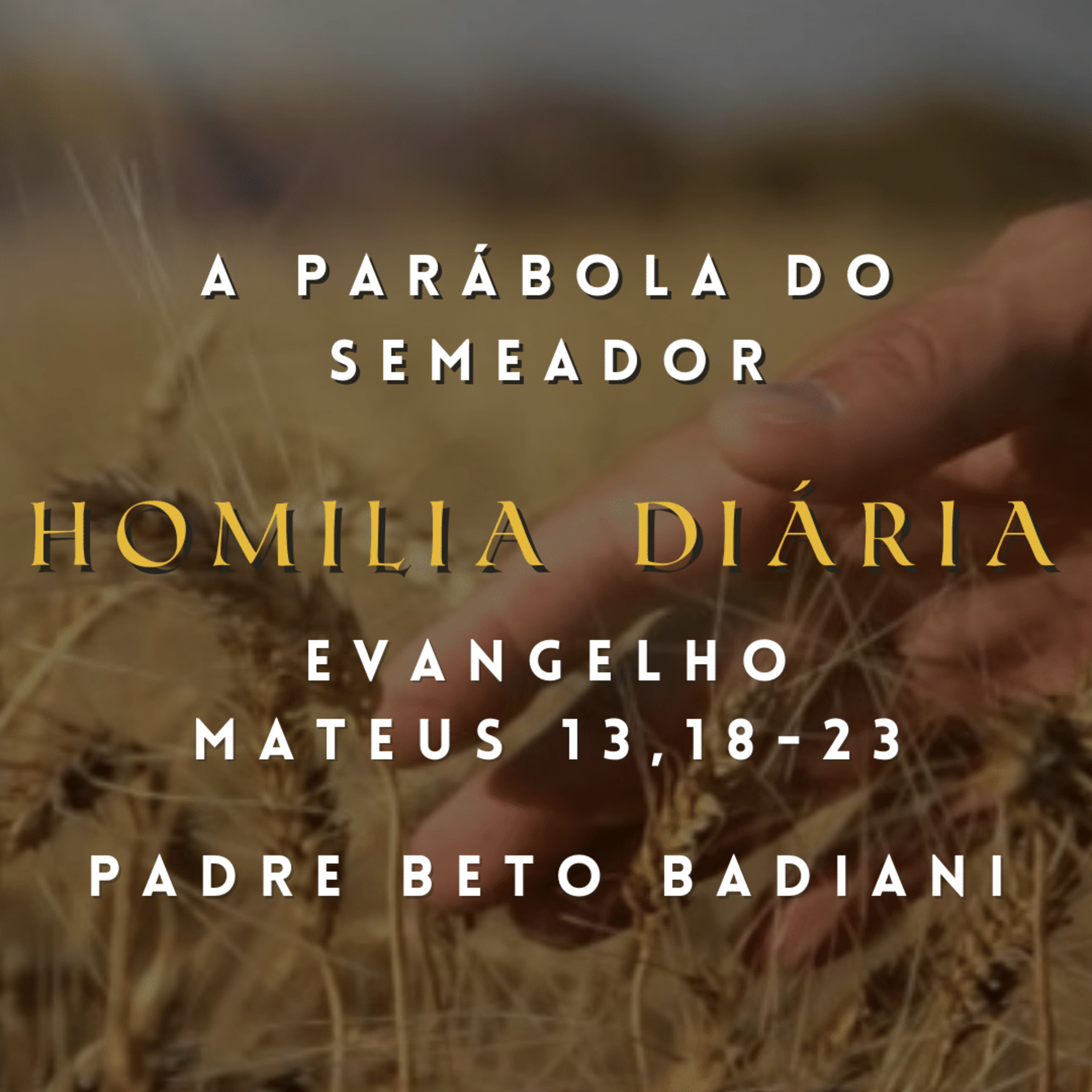 Padre Beto Badiani