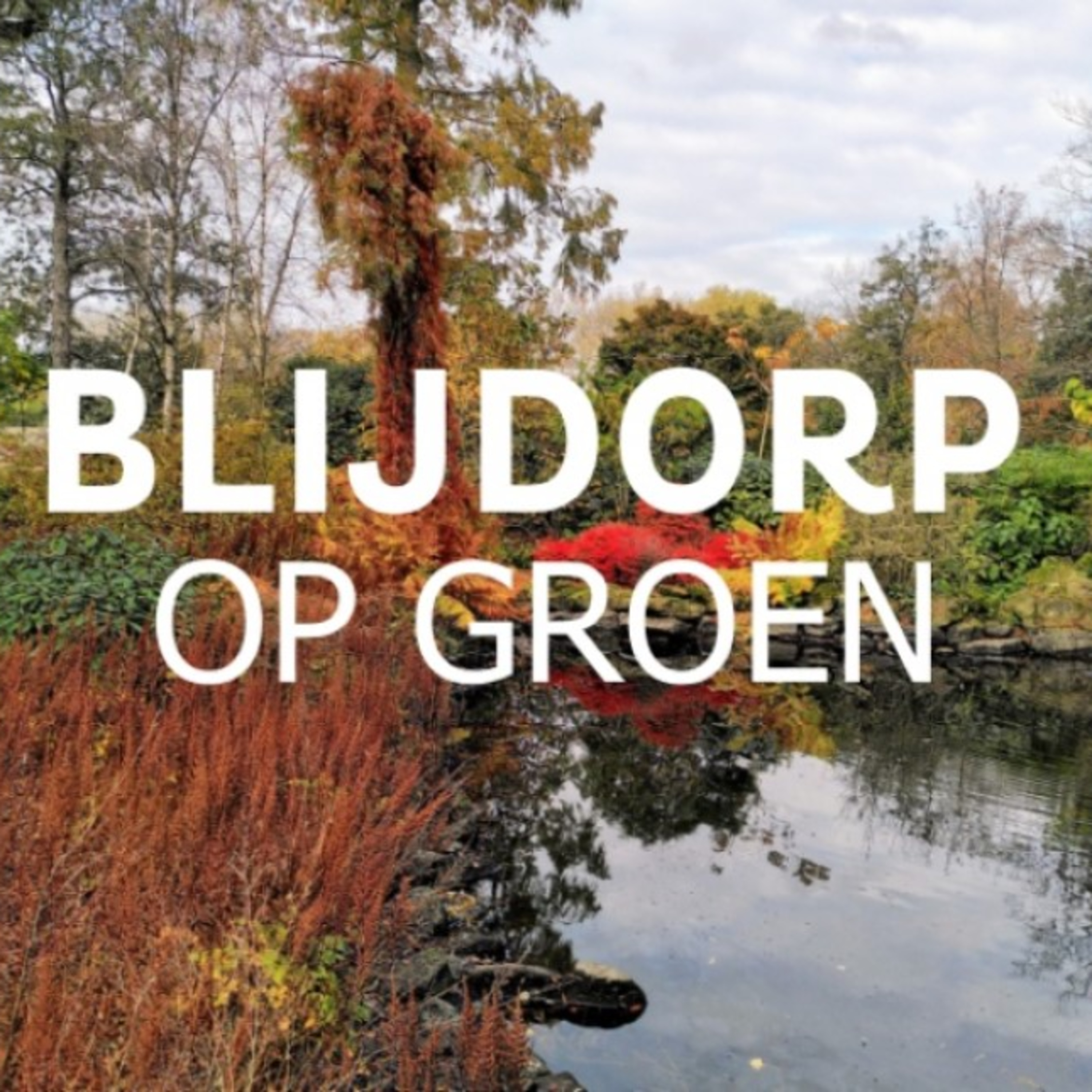 Blijdorp Op Groen