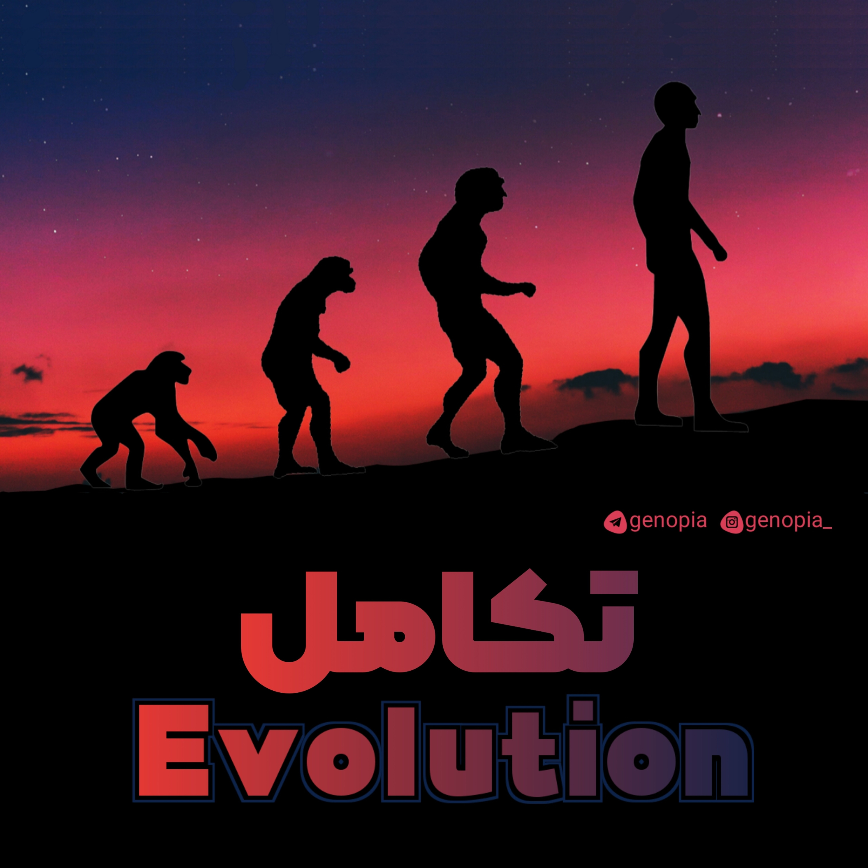 کاور Evolution