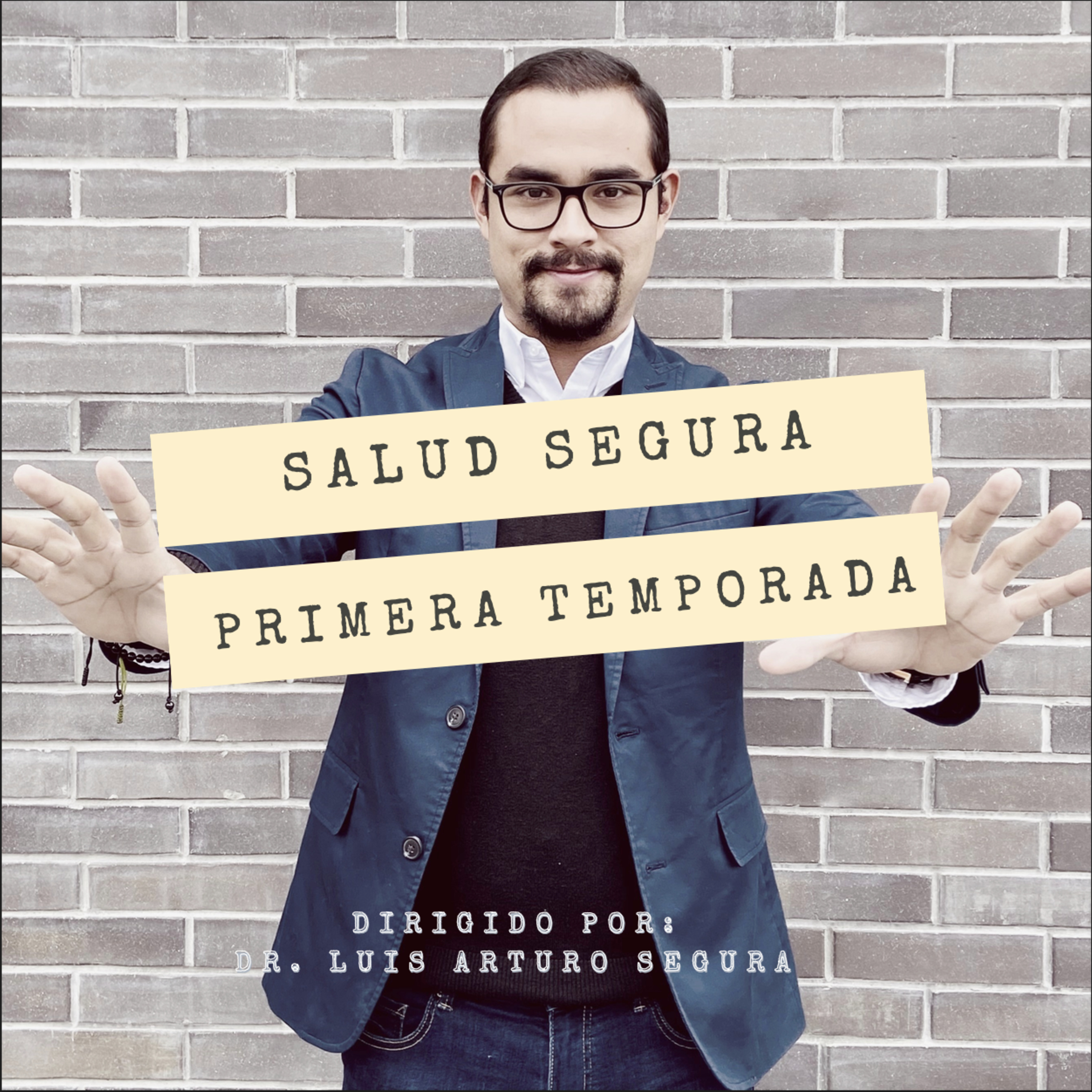 Salud Segura