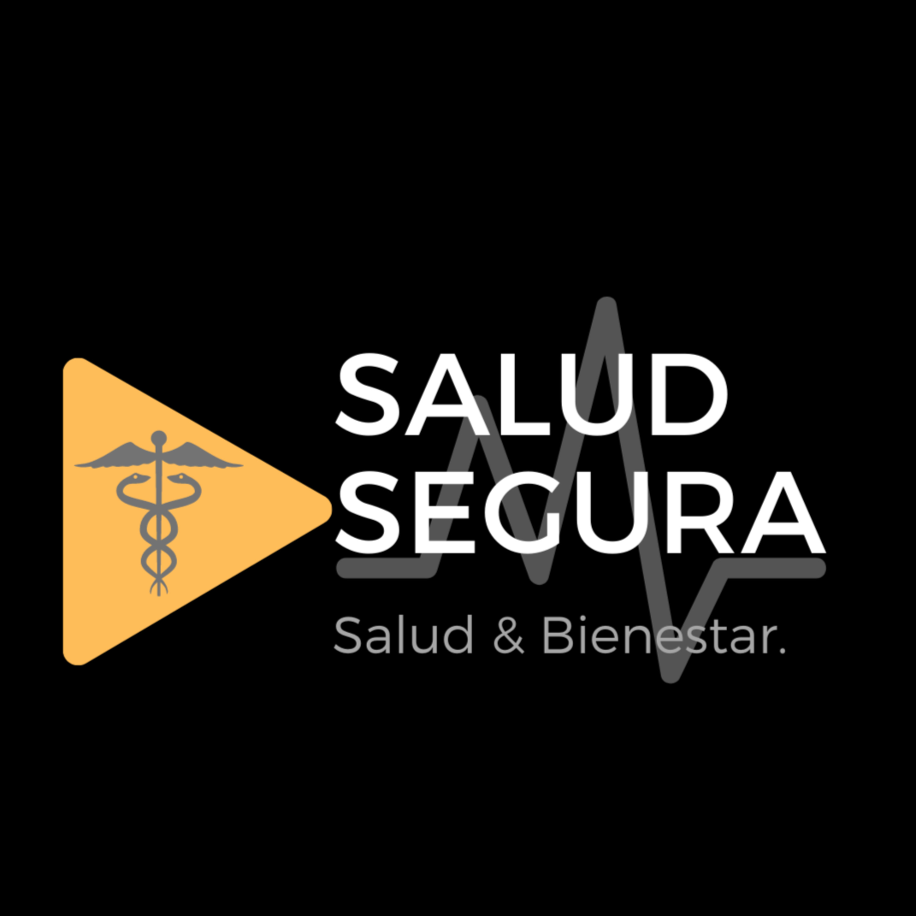 Salud Segura