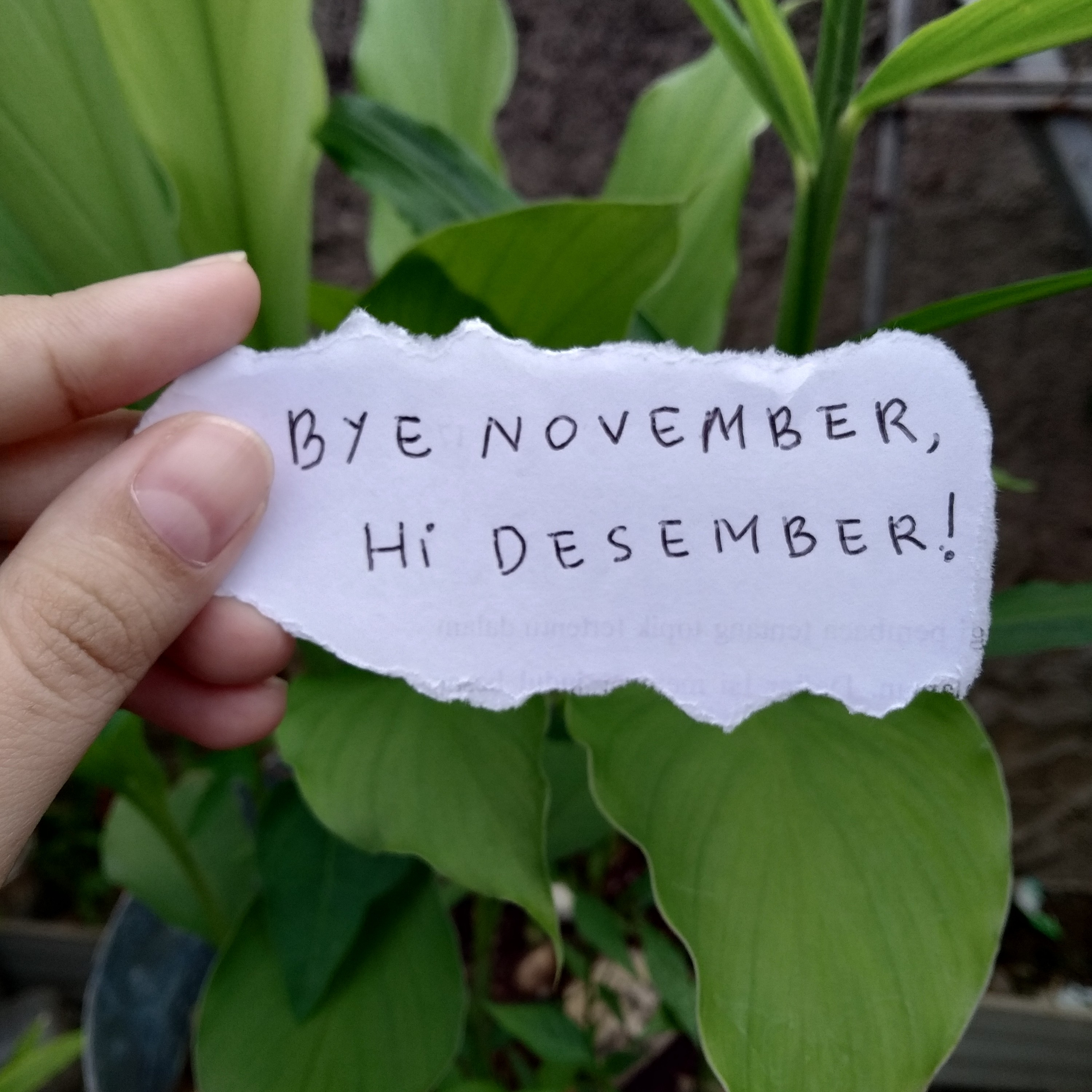Cerita Aku Dan Kamu