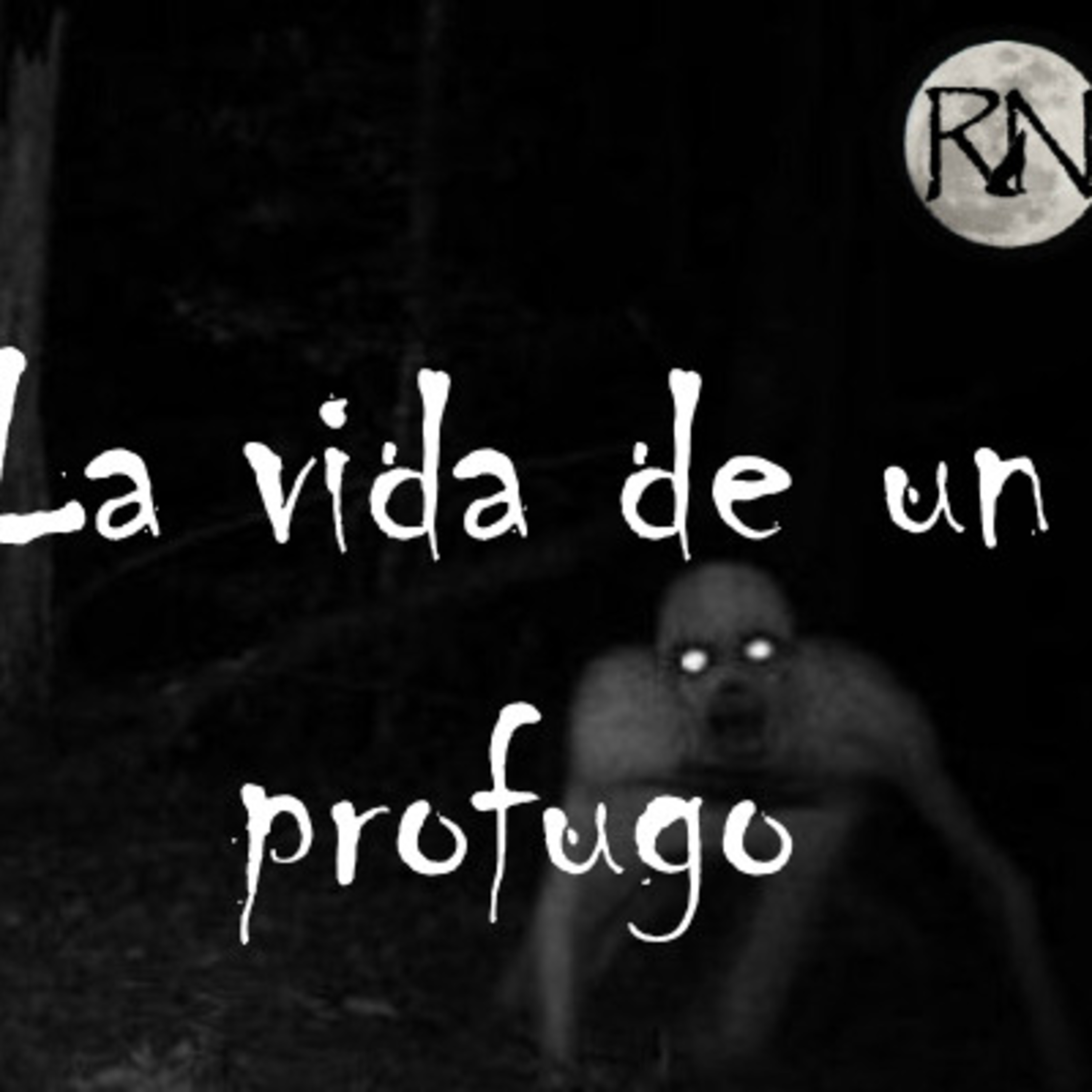 Ronda Nocturna