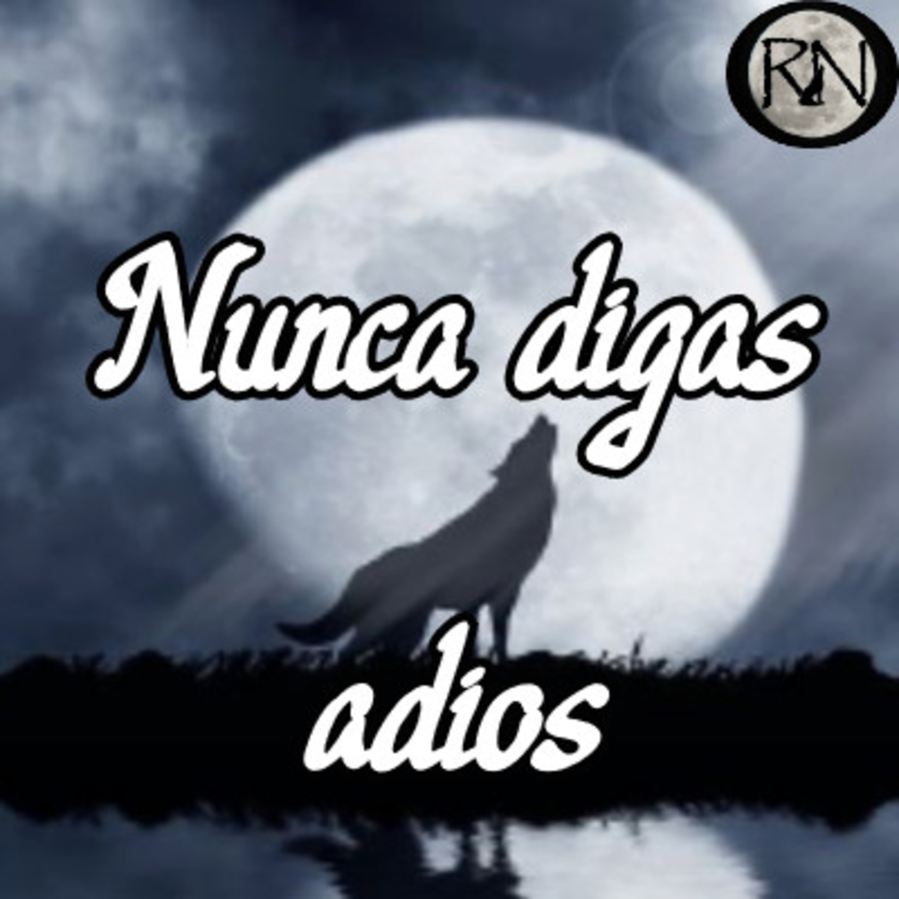 Ronda Nocturna