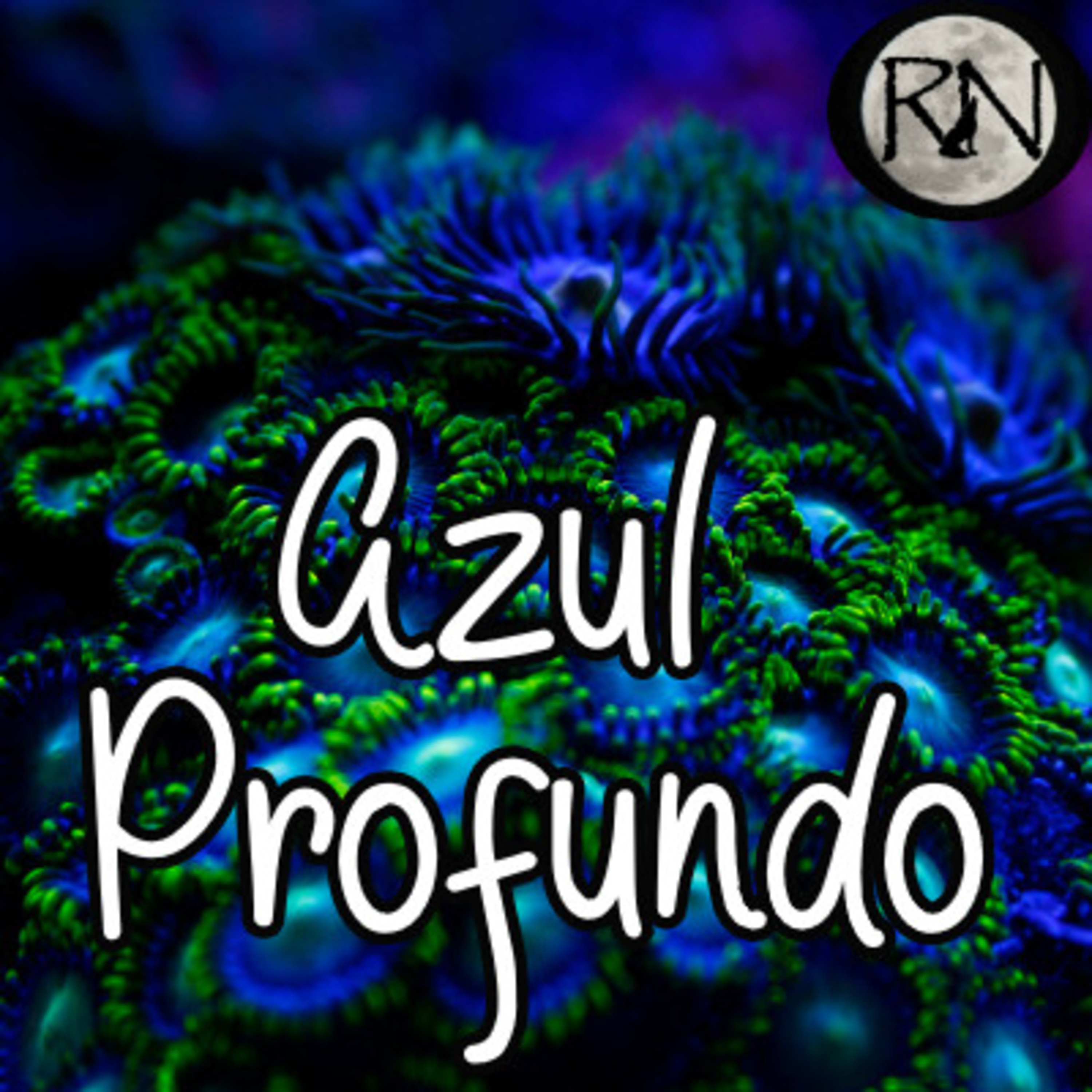 Ronda Nocturna