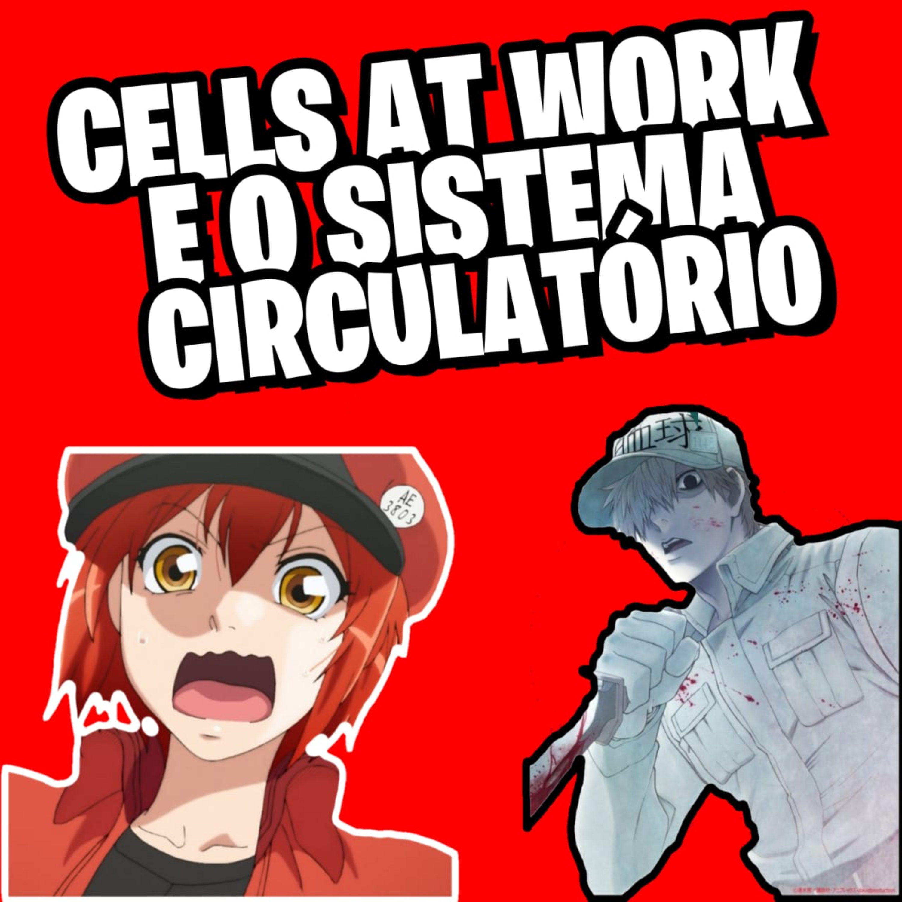 Cells at Work, e a circulação sanguínea 