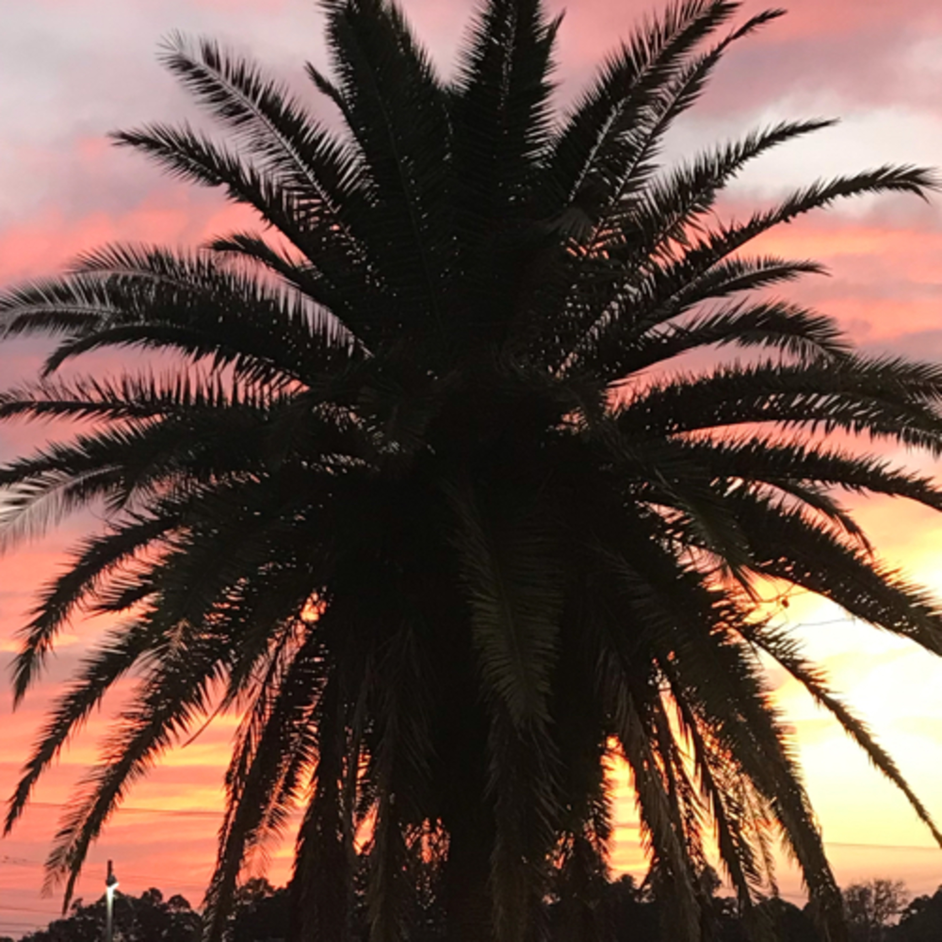 Vibes