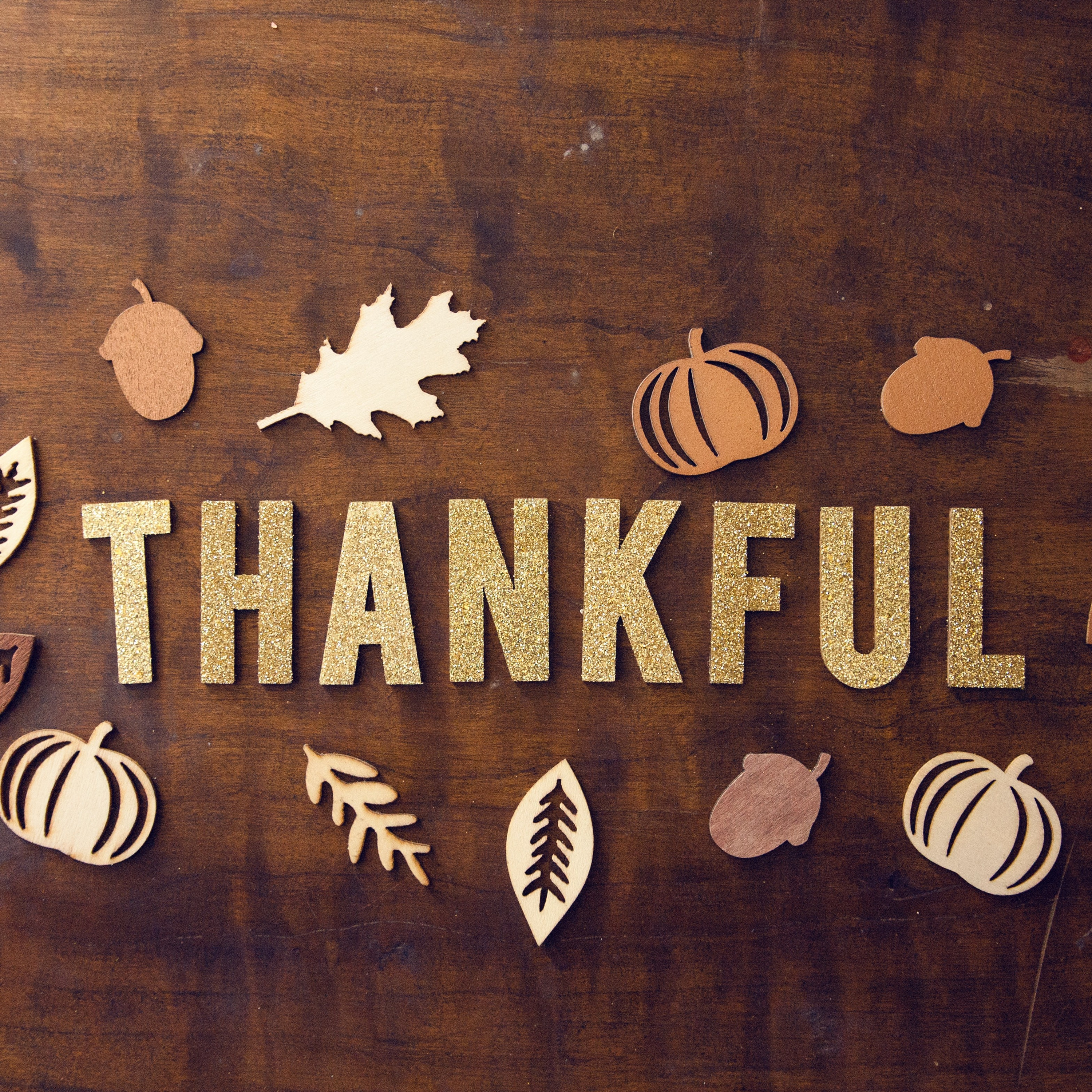 Episode 16: Season 2 - Let us give thanks to the Lord and remember all His good deeds. episode artwork