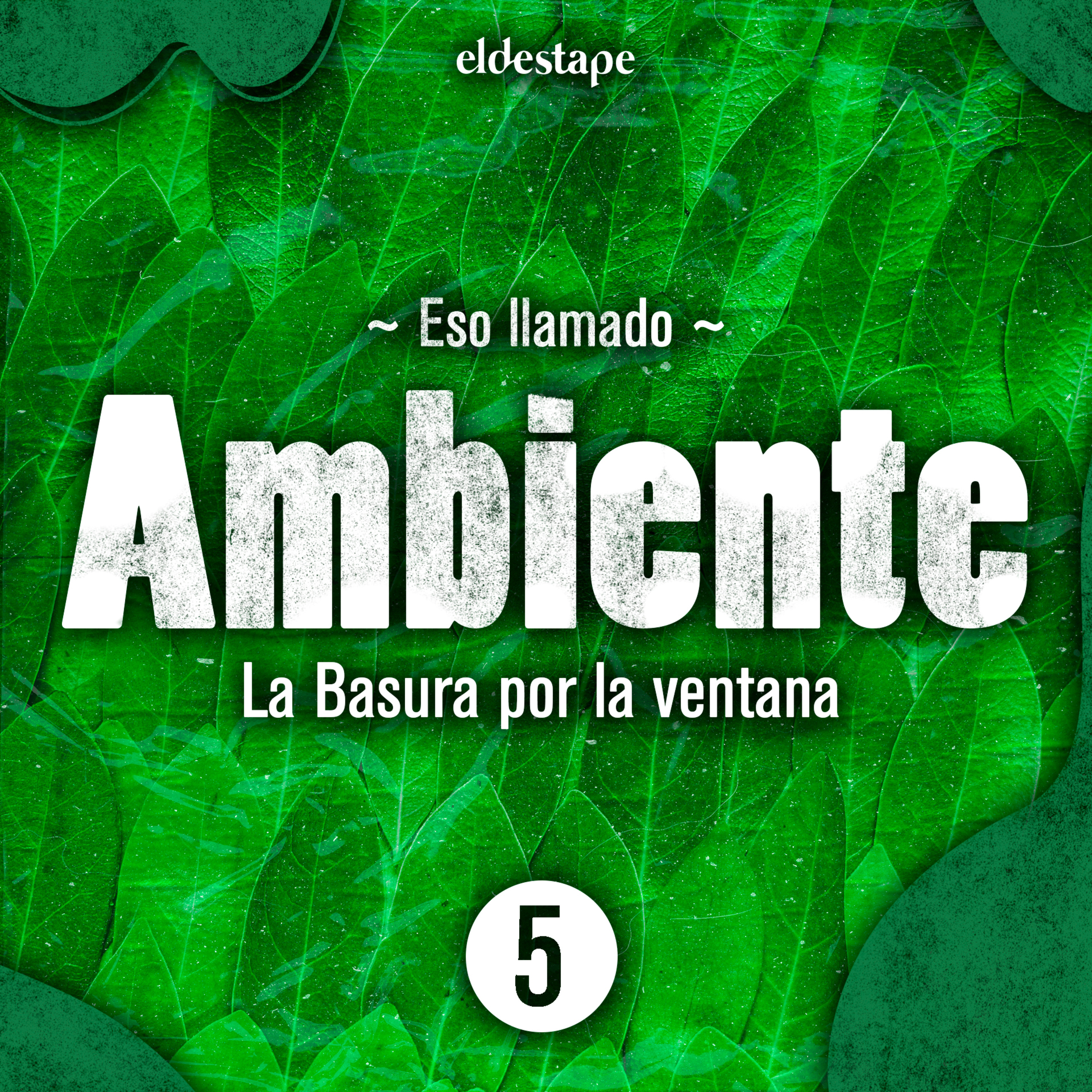 Eso llamado Ambiente