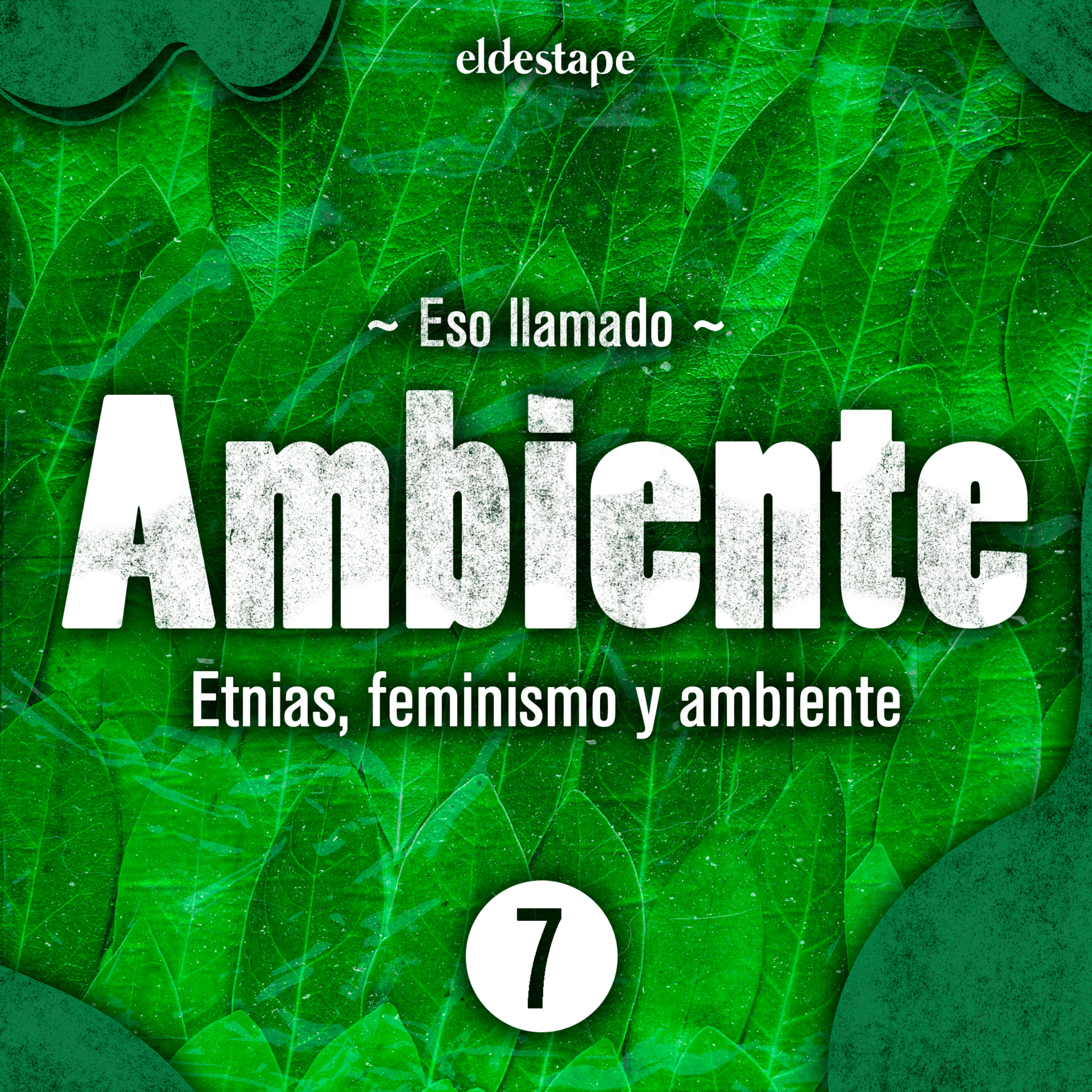 Eso llamado Ambiente