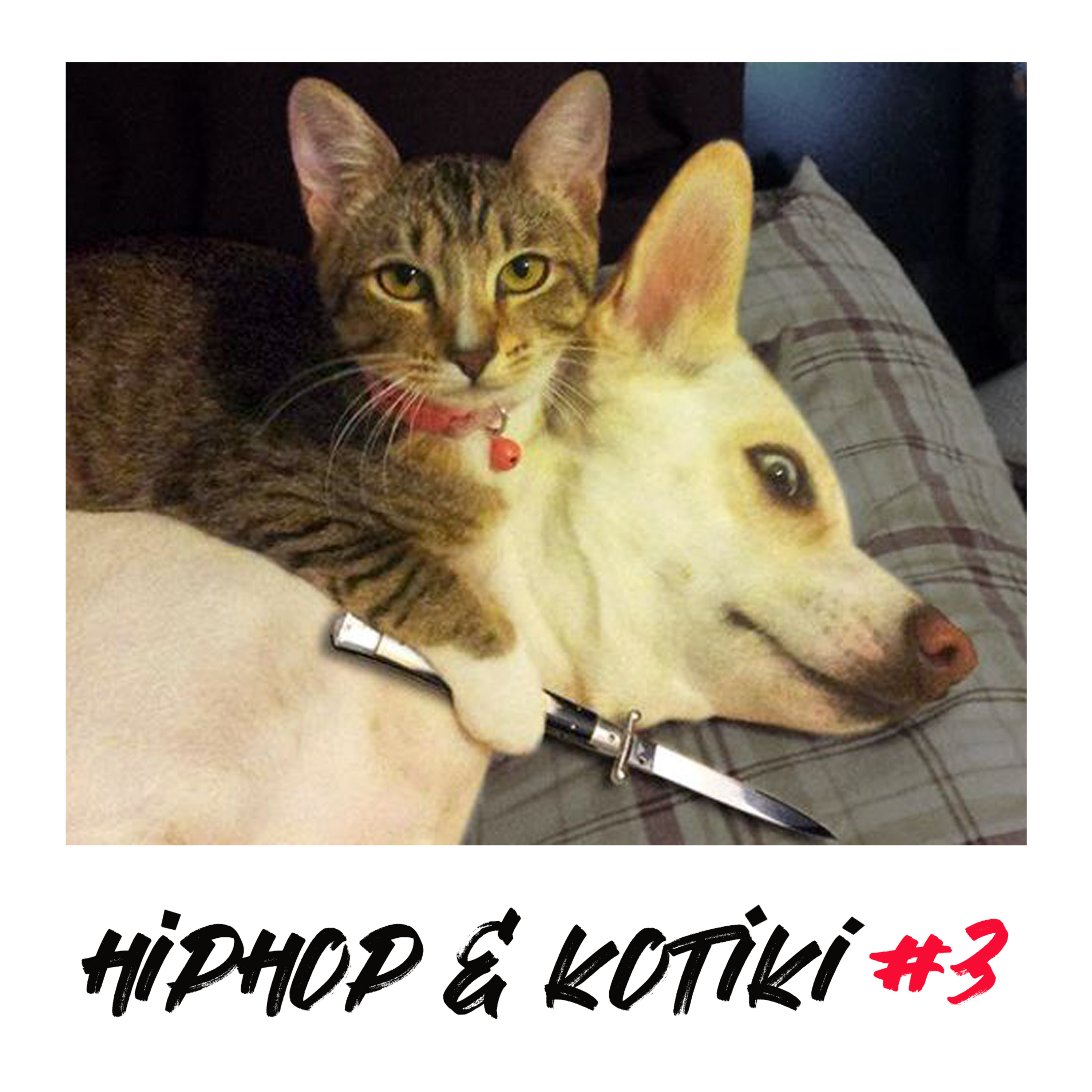 3 эпизод. Котики психуют