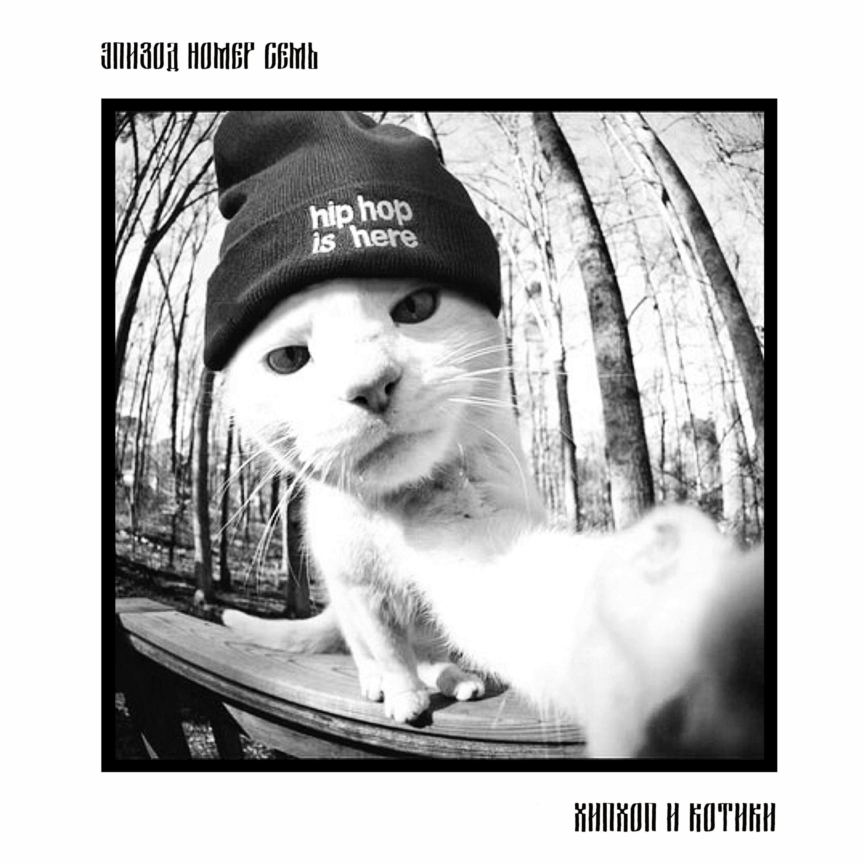 7 эпизод. Молодые Котики.