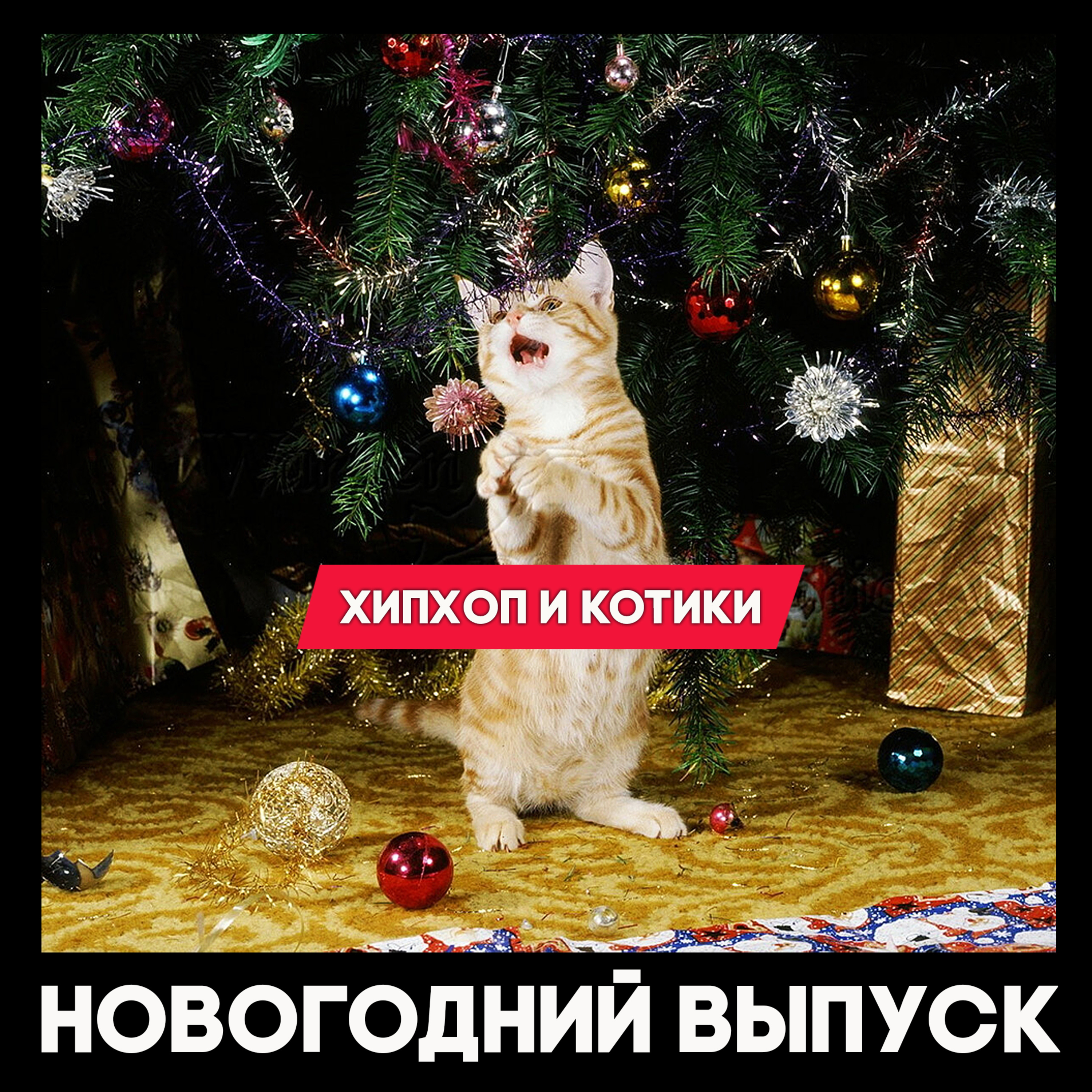 8 эпизод. Новогодние Котики.