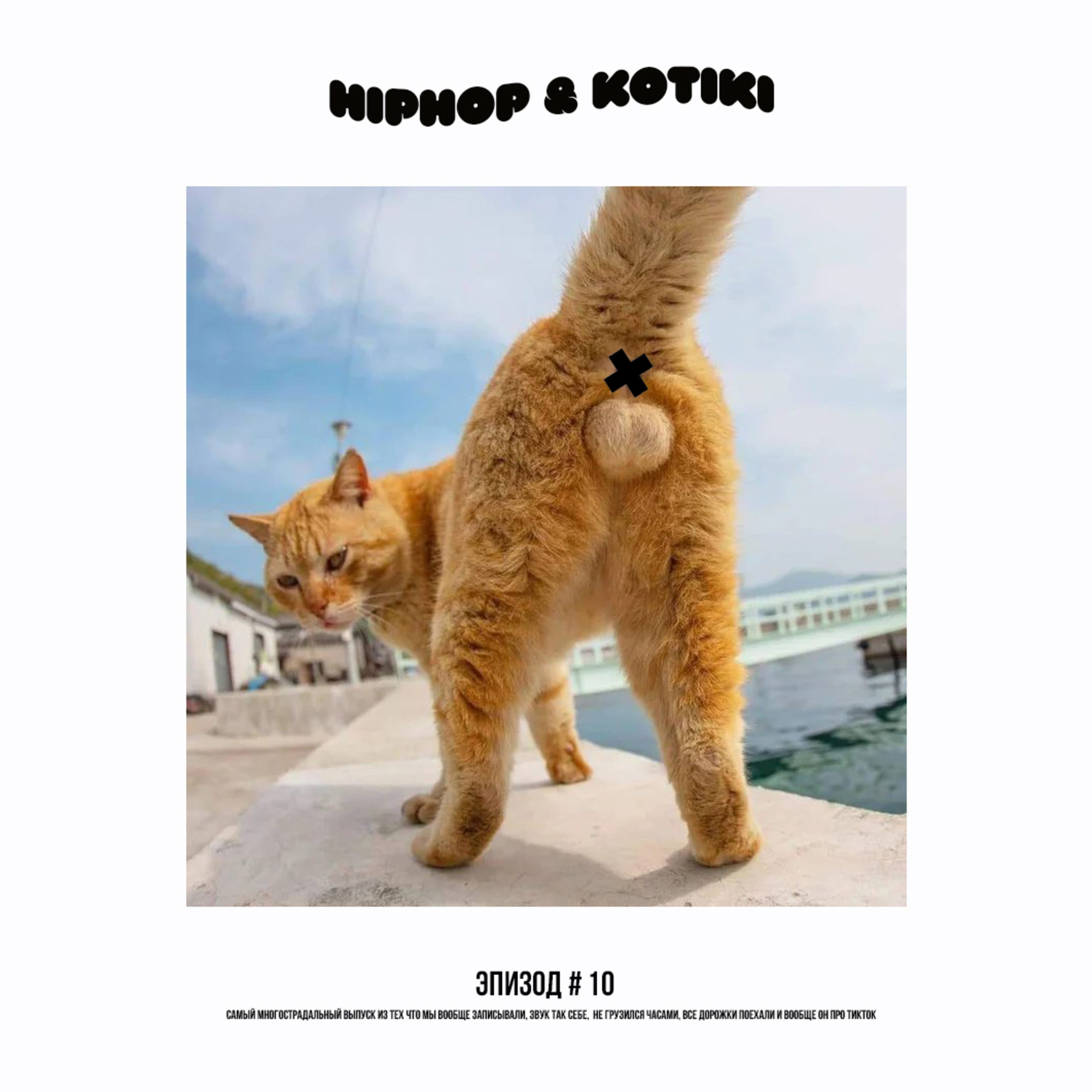 10 эпизод. Котики тиктокнулись.