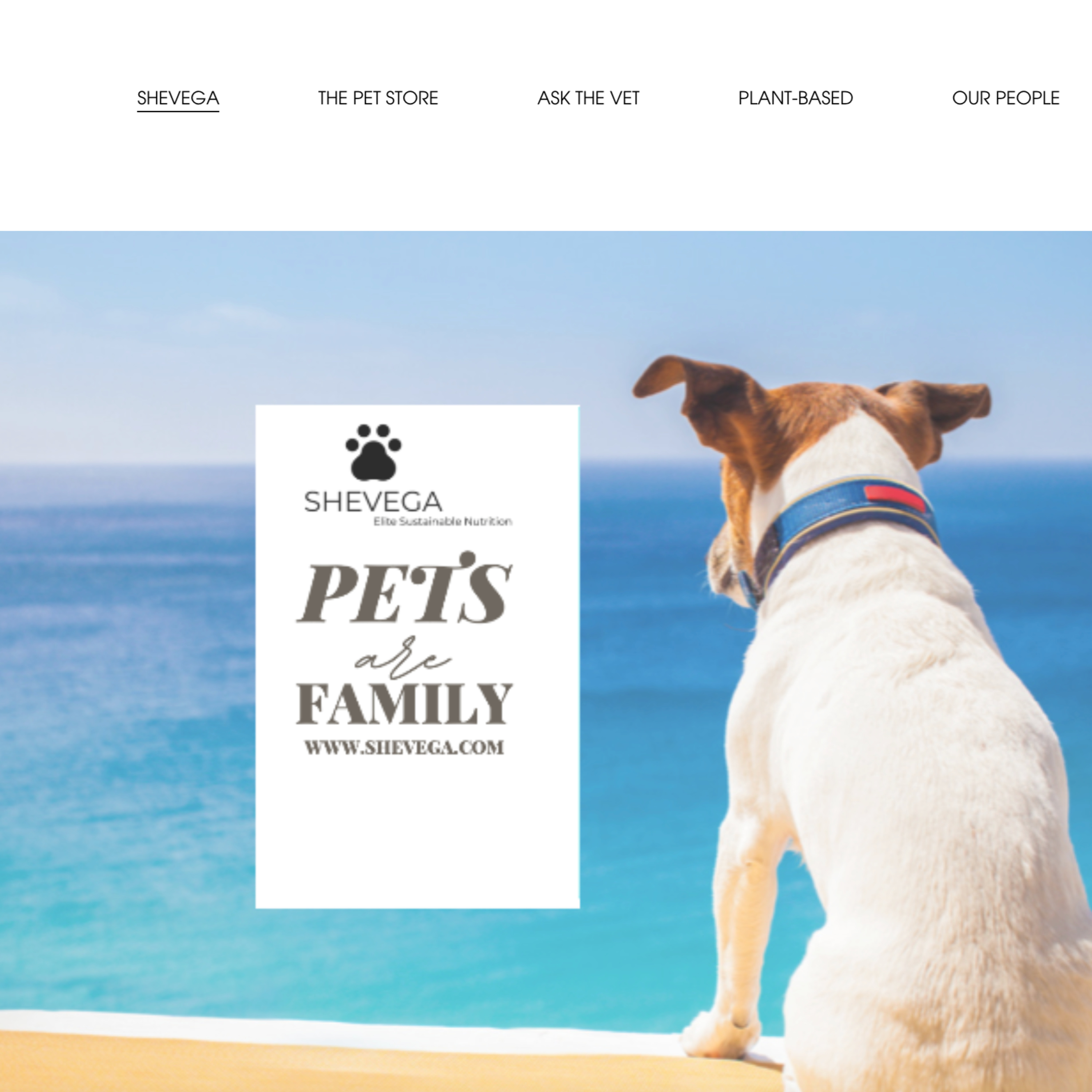 SHEVEGA TALKSwww.SHEVEGA.com