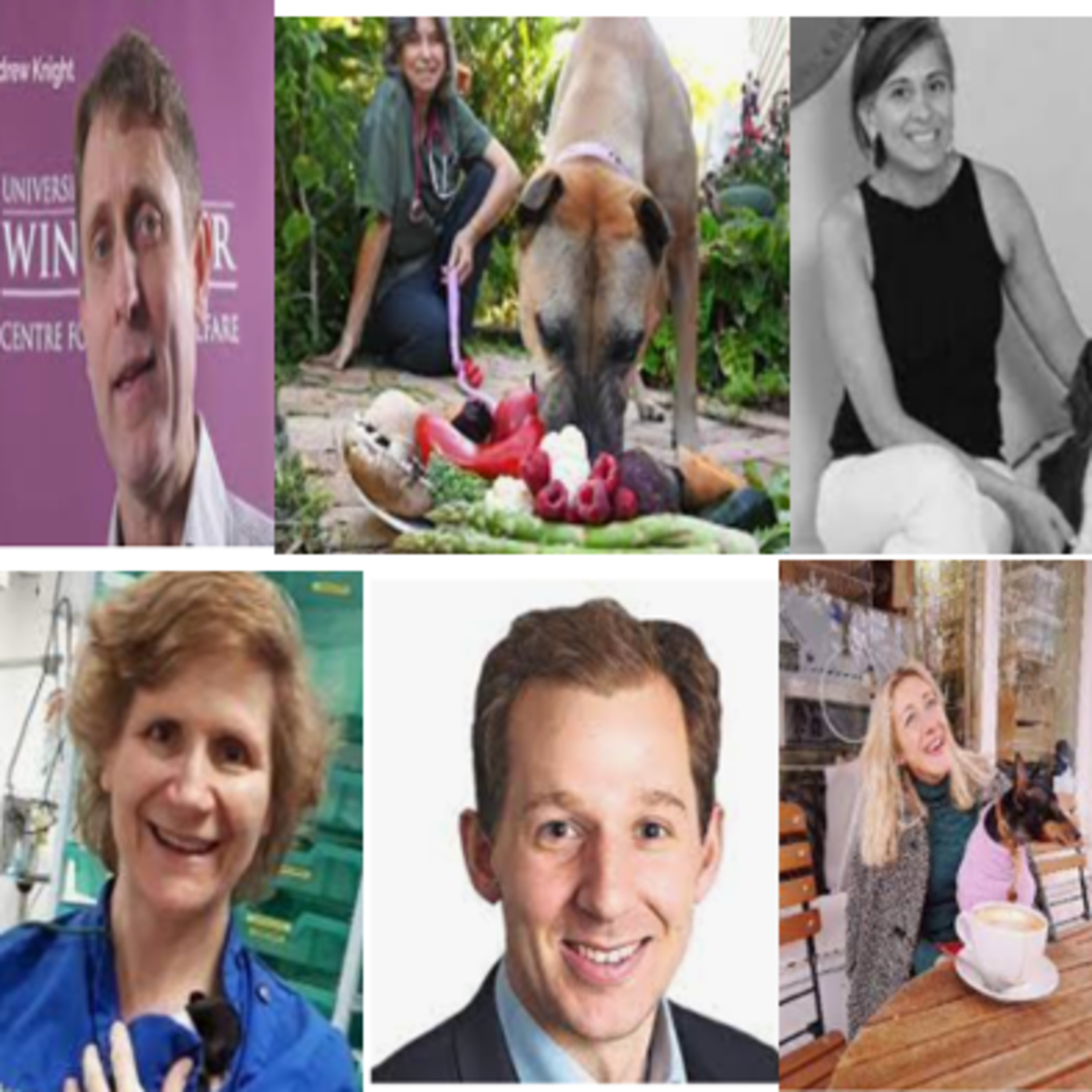 SHEVEGA TALKSwww.SHEVEGA.com