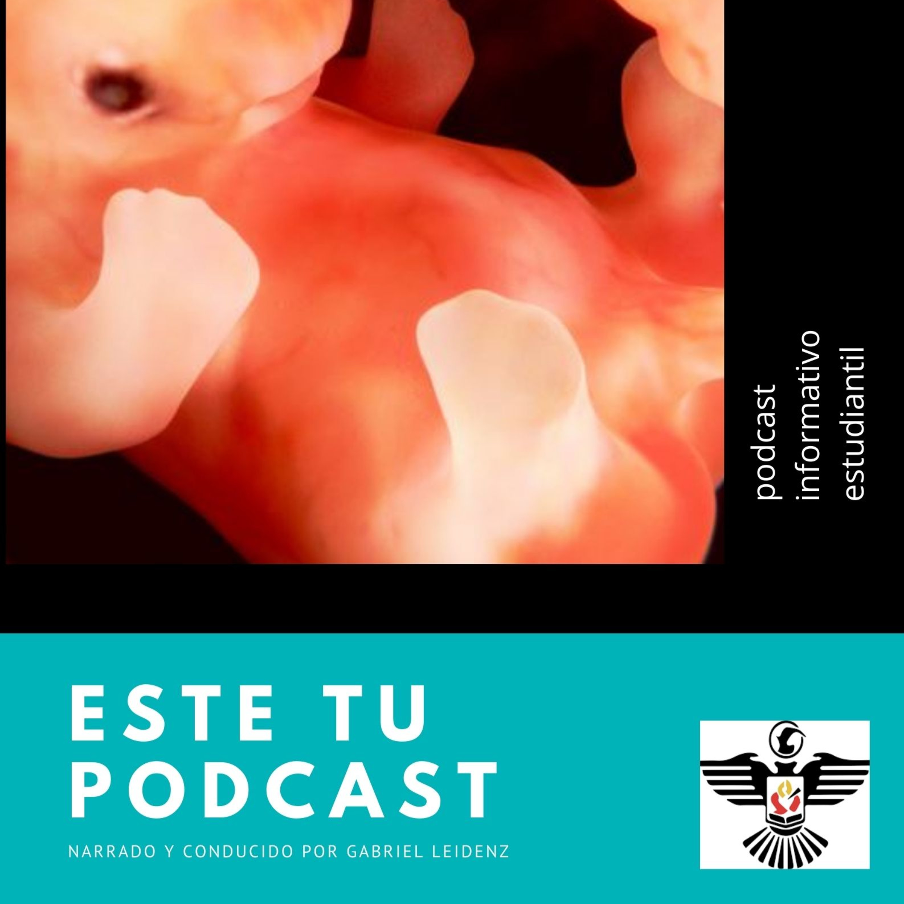 Capitulo2 : Embriología Humana