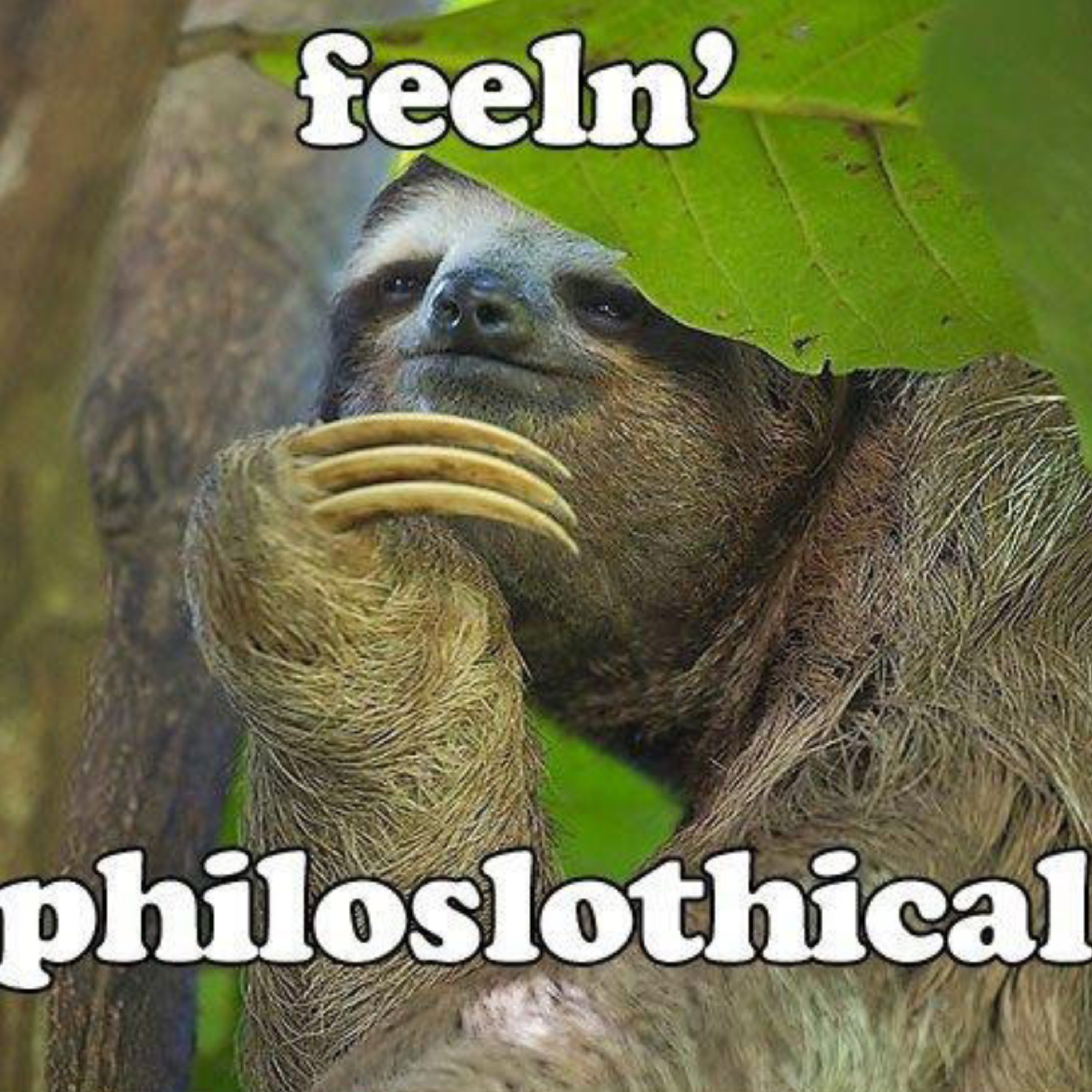 Feelin' Philoslothical #2 - "It Feels Right" episode artwork