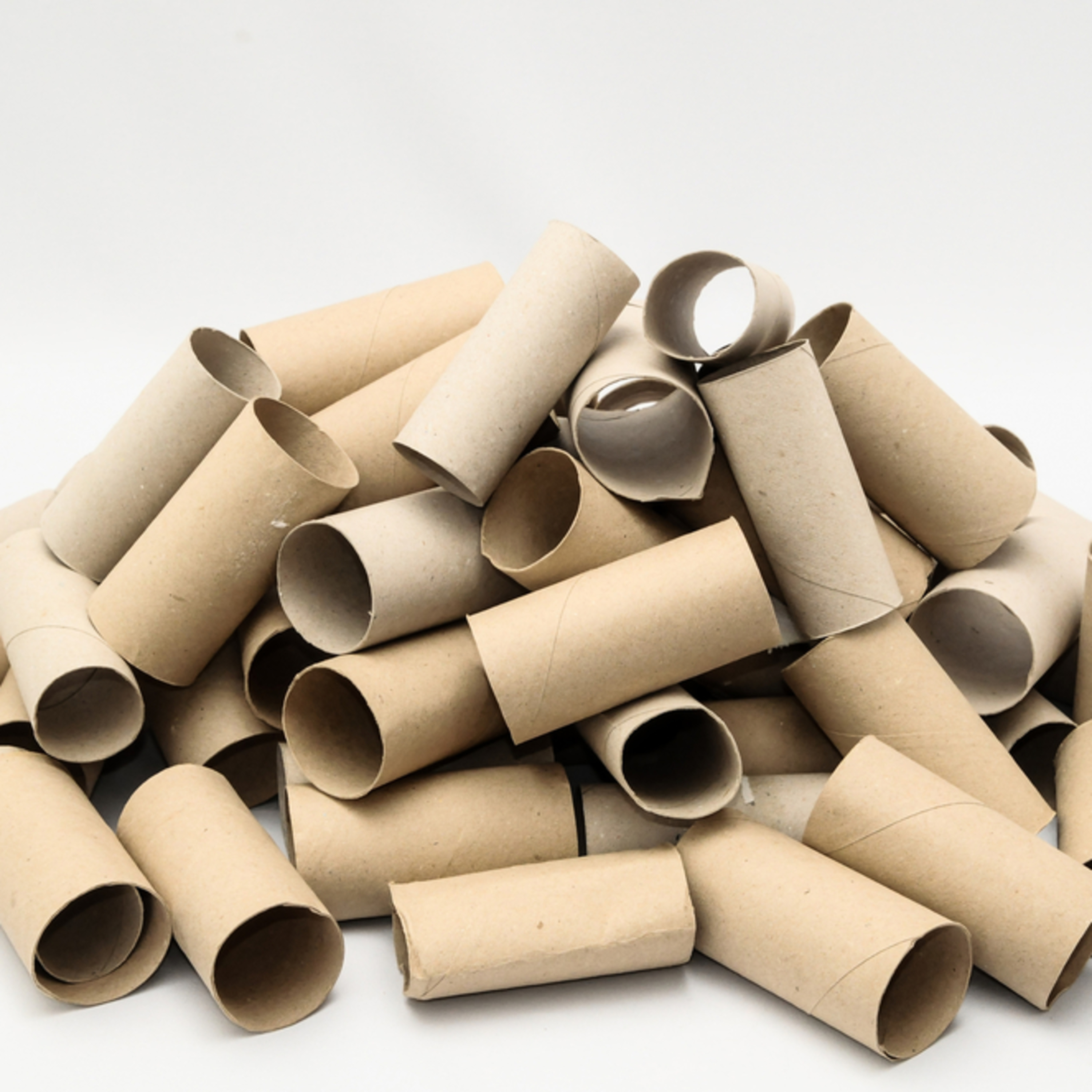 Four Toilet Rolls and A Pine Cone episode artwork