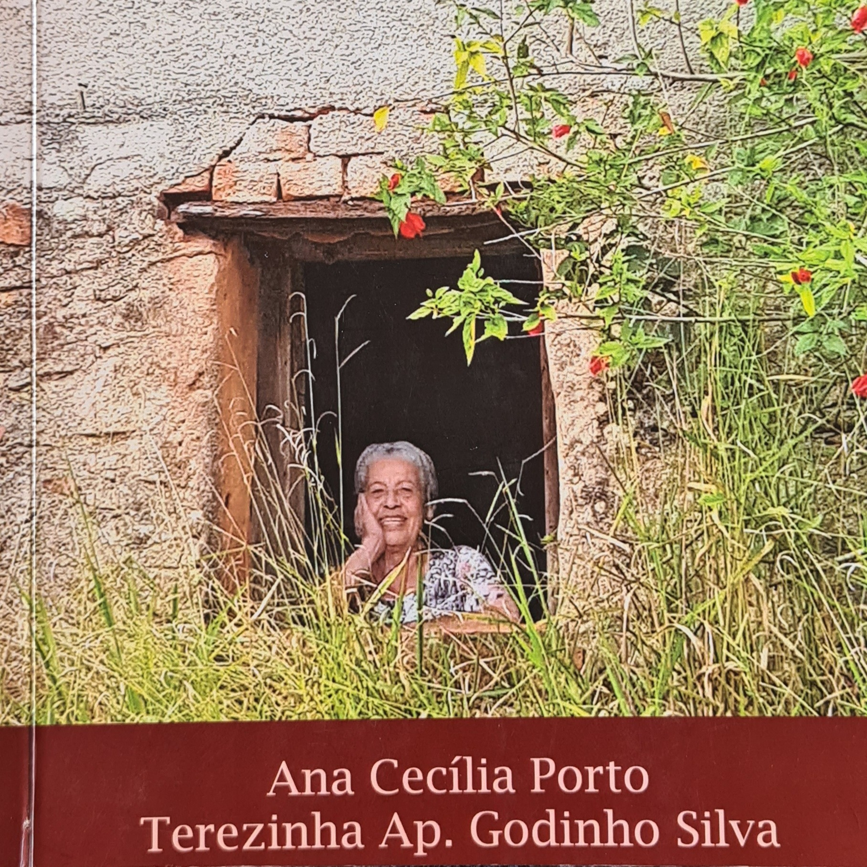 ANA CECÍLIA CONTANDO HISTÓRIAS