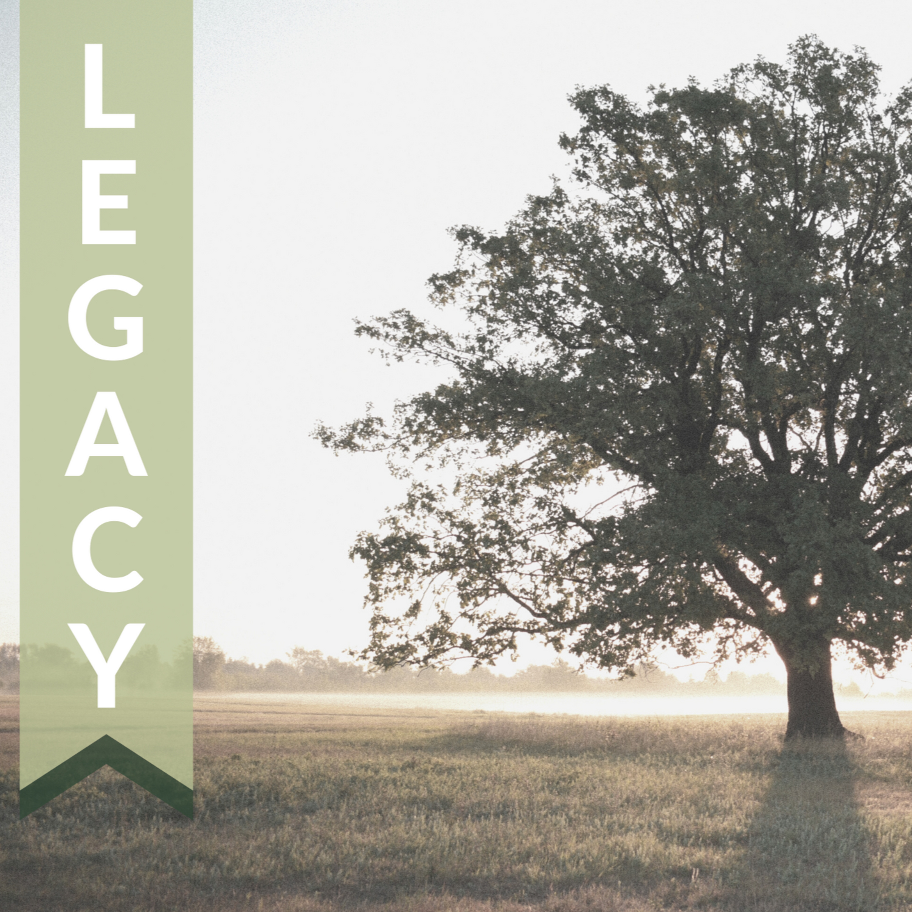 02.07.21 - Legacy Week 3 (Final) episode artwork