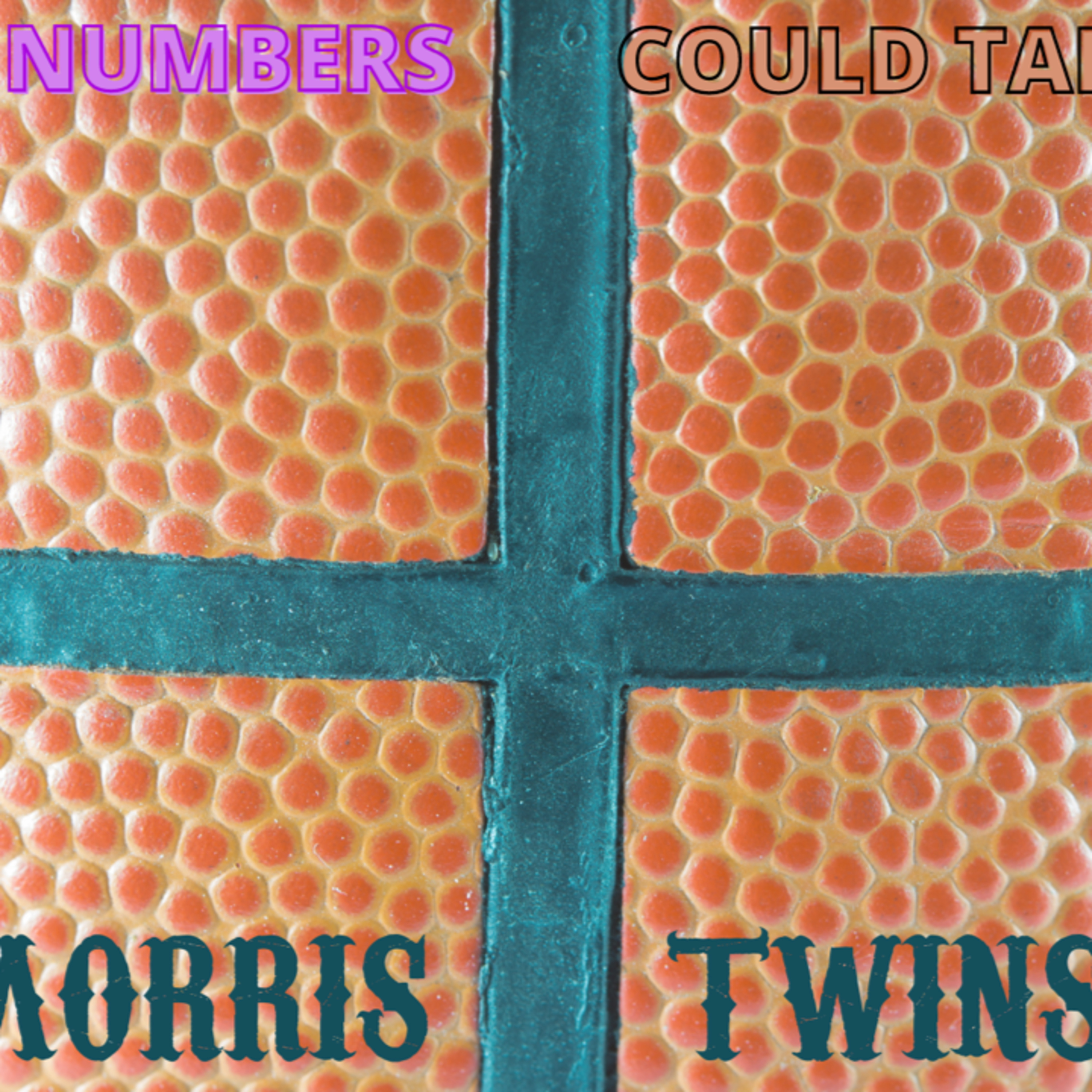 If Numbers Could Talk