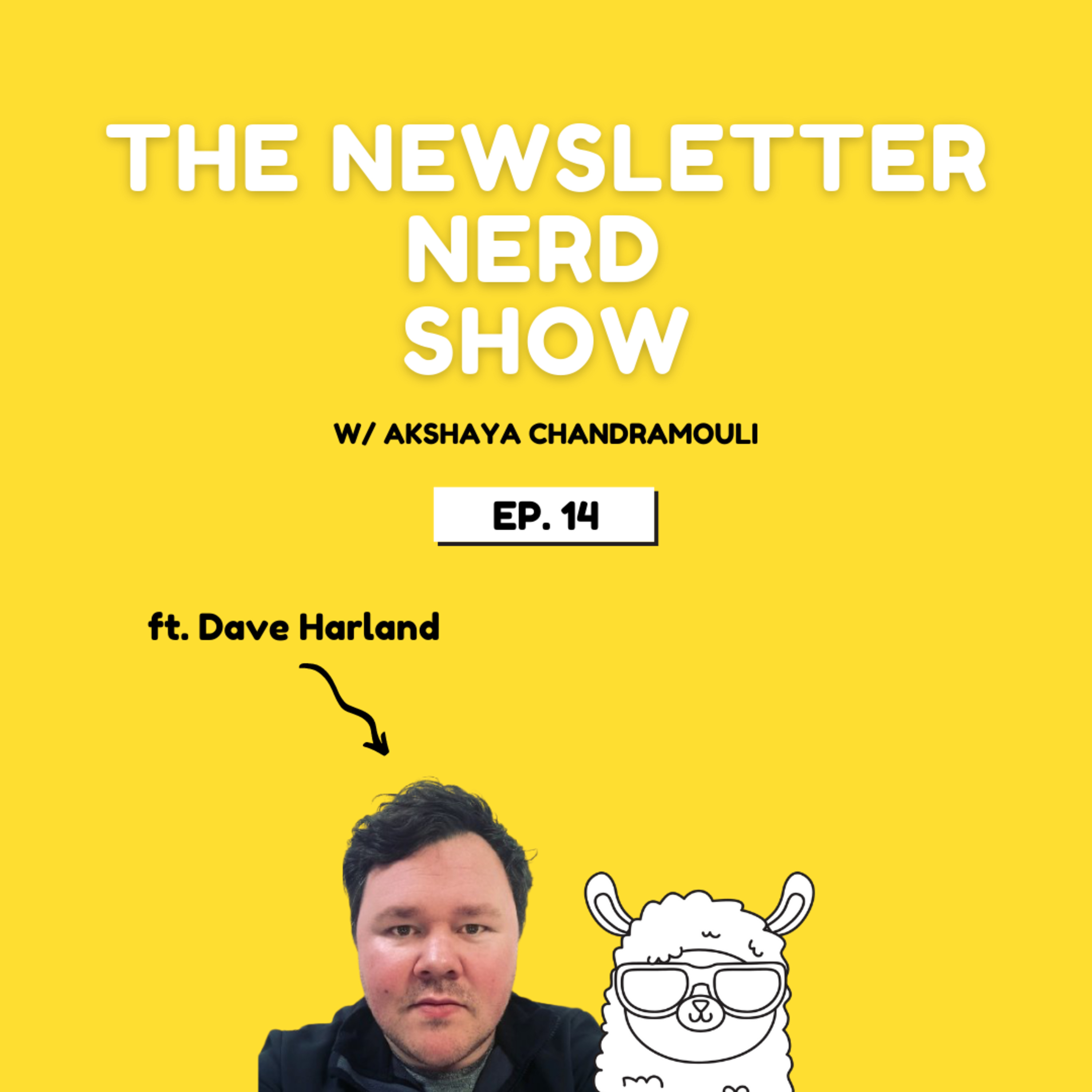 The Newsletter Nerd Show