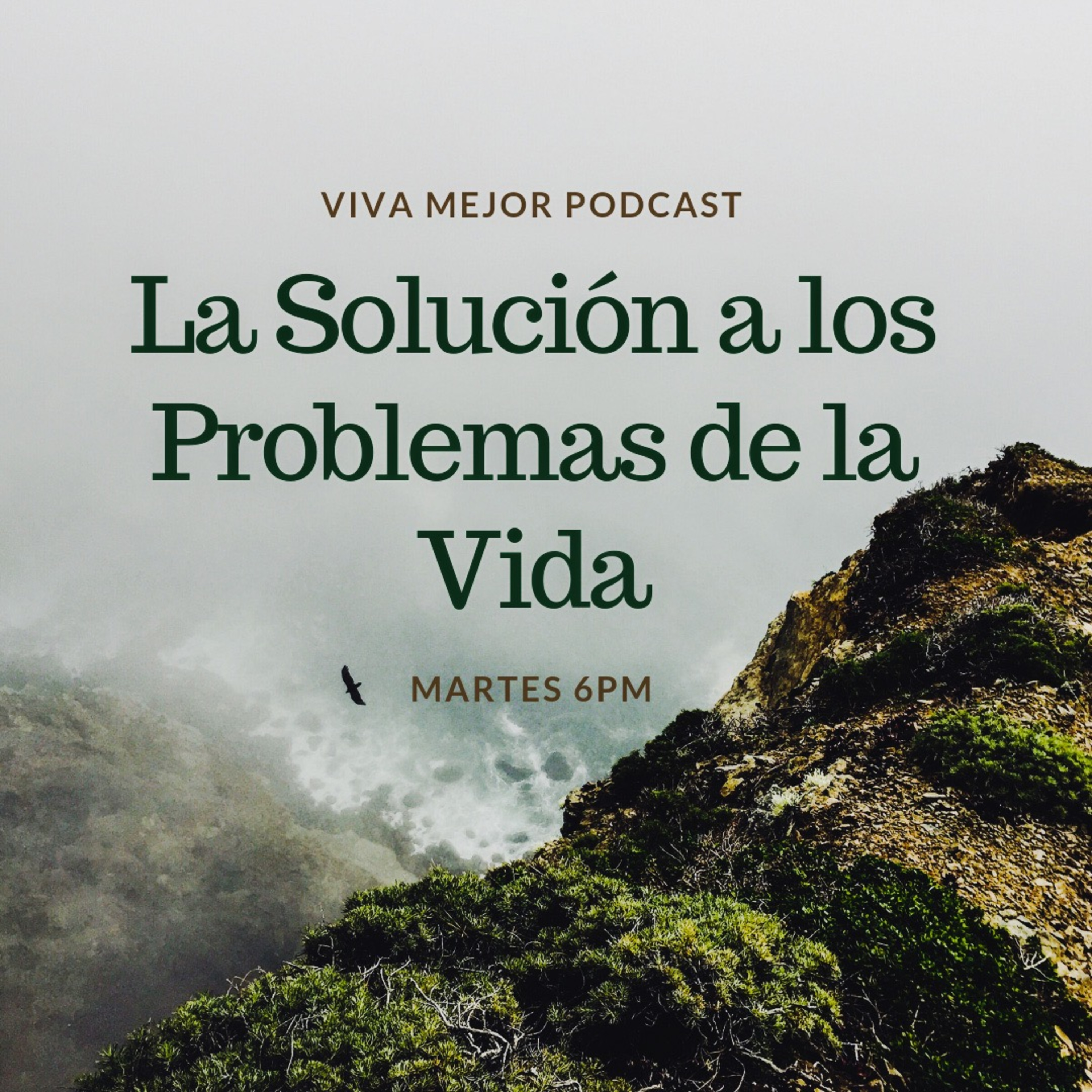Viva Mejor