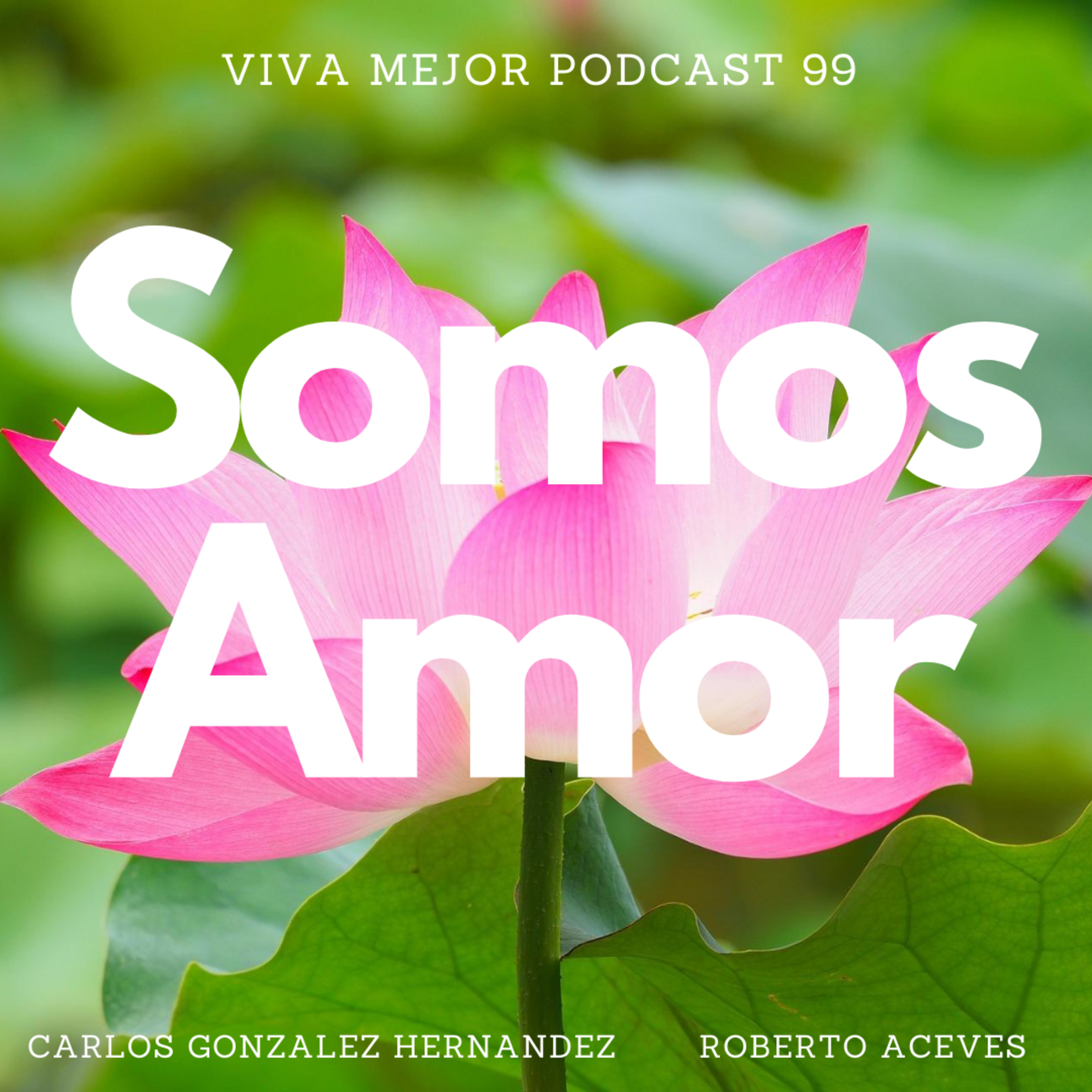 Viva Mejor