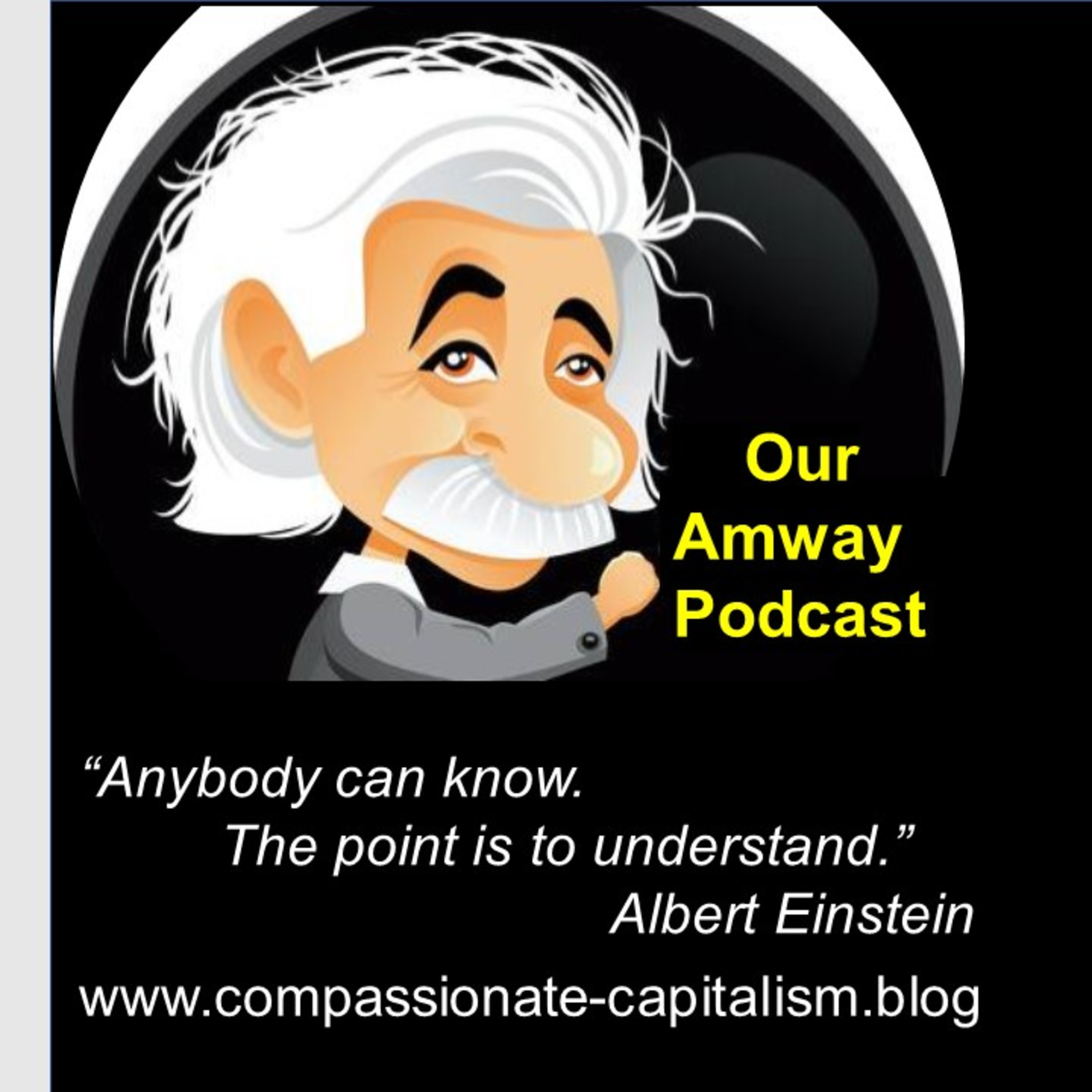 2) AMWAY. THE 'PROFESSIONAL WORRIERS'.