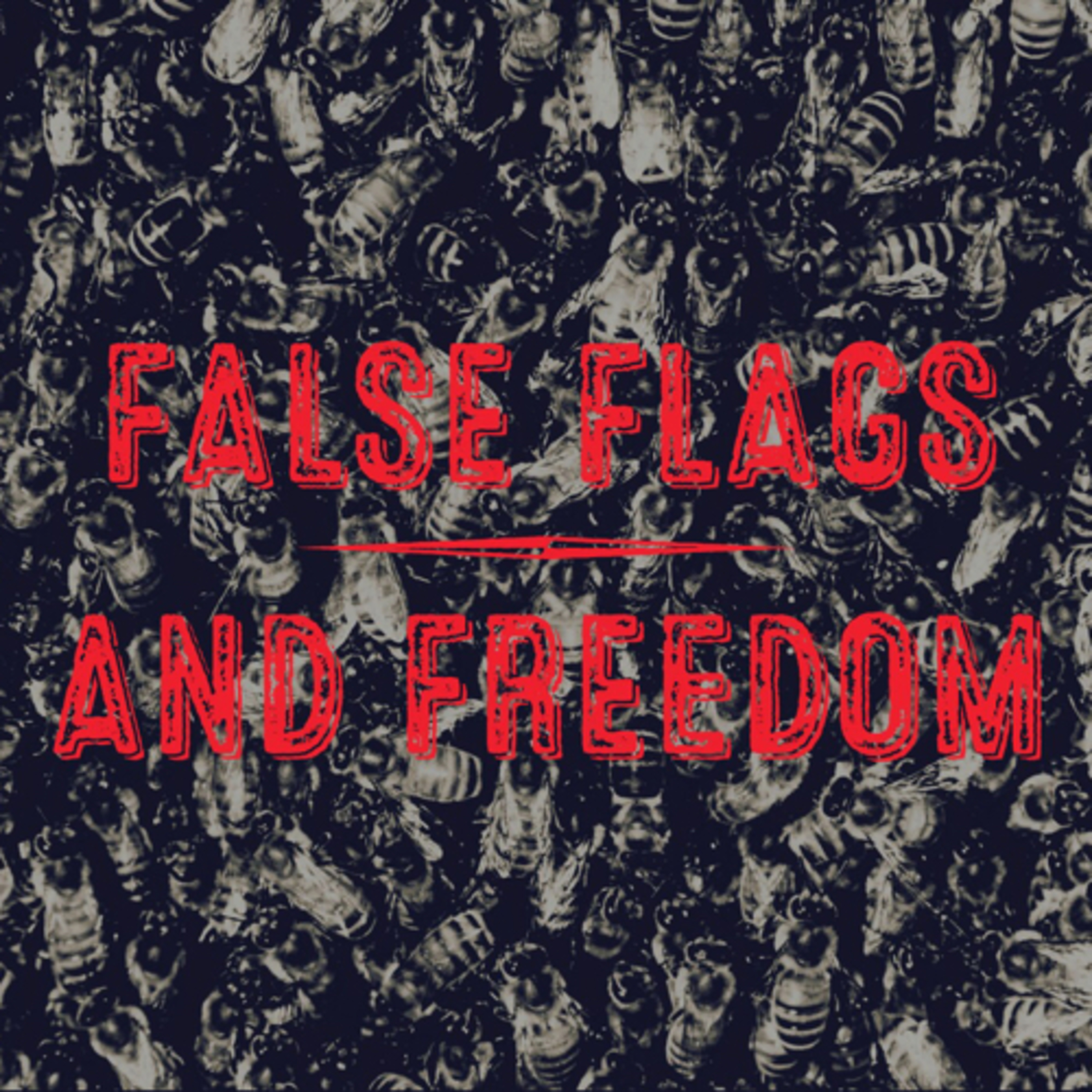 False Flags and Freedom episode artwork