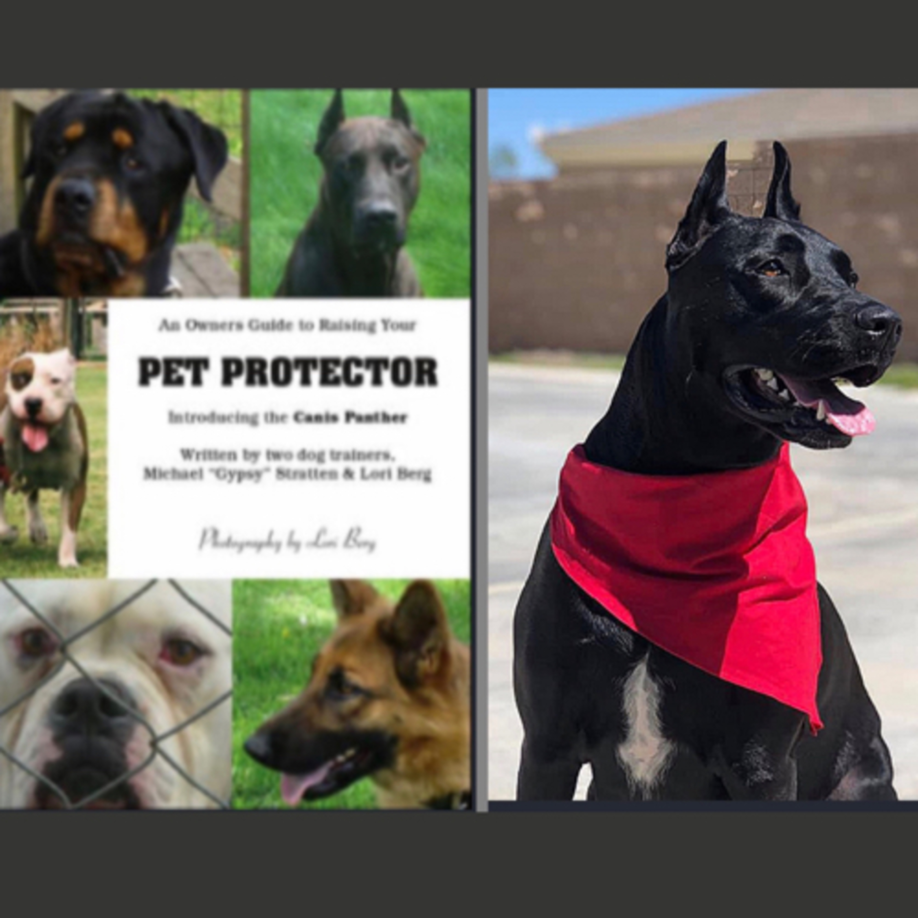 Episode 51: Michael “Gypsy” Stratten & Lori Berg from Rock of Ages Kennel Part 2